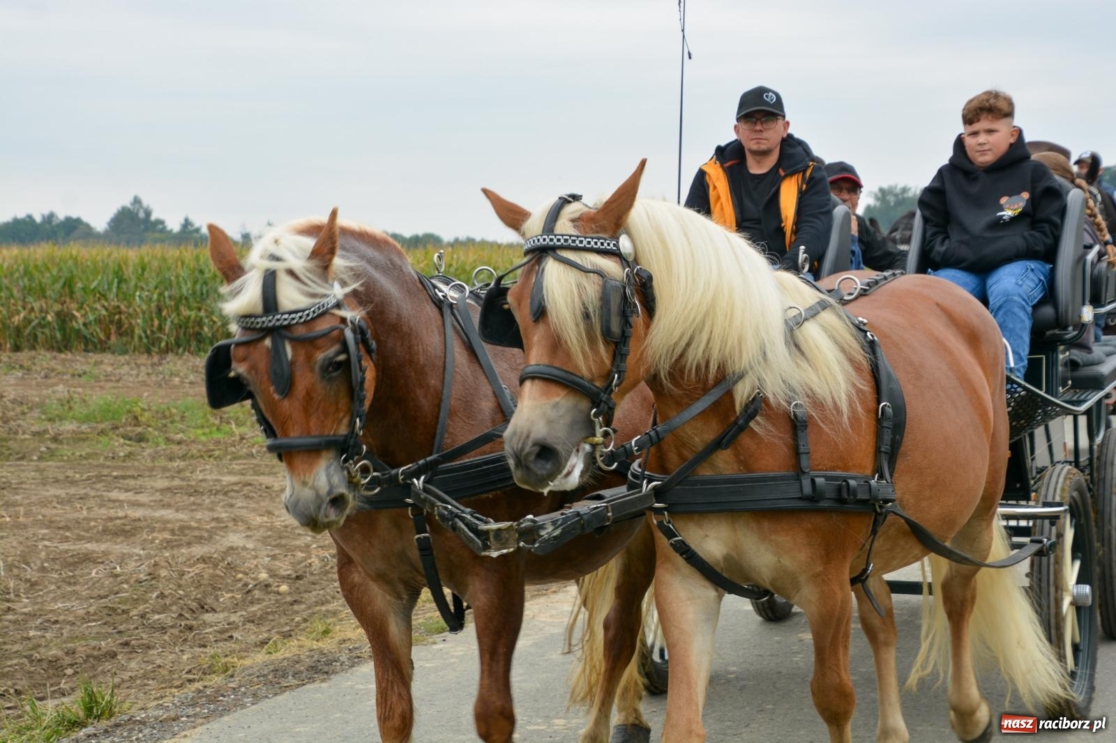 Zdjęcie w galerii na portalu naszraciborz.pl: Hubertus w Żerdzinach – emocje na końskim grzbiecie i nowe atrakcje dla miłośników jeździectwa wiadomości z regionu