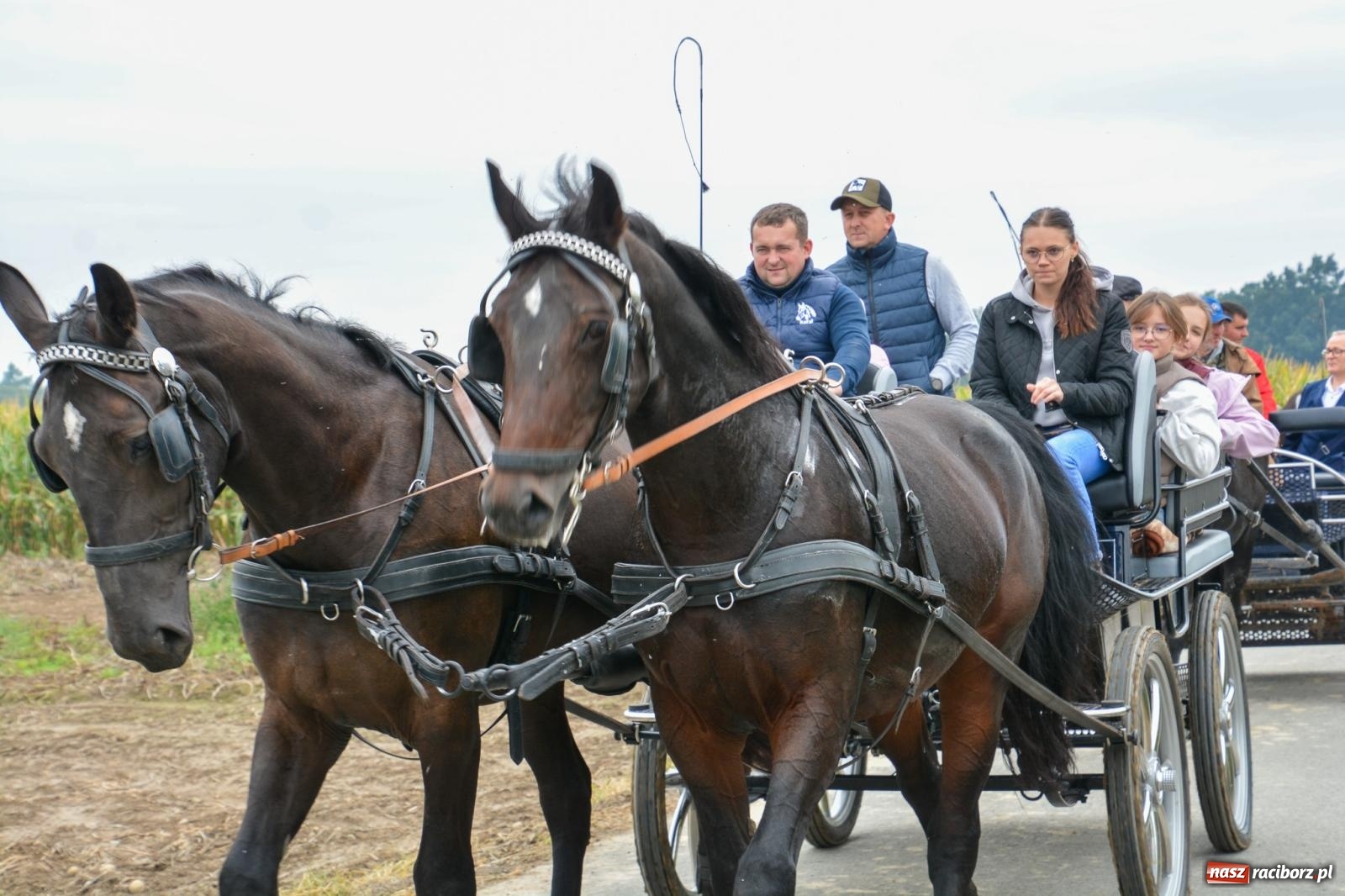 Zdjęcie w galerii na portalu naszraciborz.pl: Hubertus w Żerdzinach – emocje na końskim grzbiecie i nowe atrakcje dla miłośników jeździectwa wiadomości z regionu