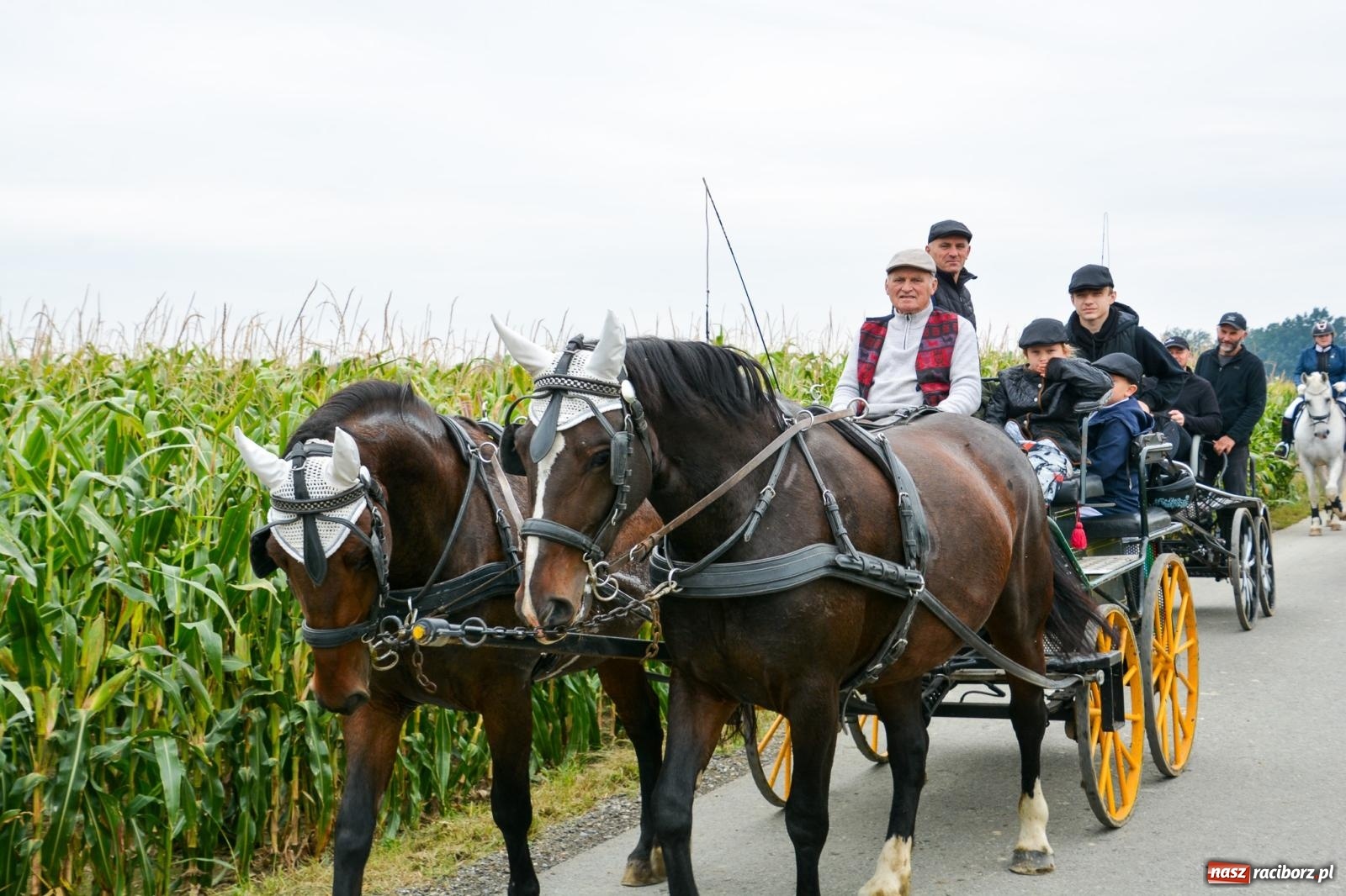 Zdjęcie w galerii na portalu naszraciborz.pl: Hubertus w Żerdzinach – emocje na końskim grzbiecie i nowe atrakcje dla miłośników jeździectwa wiadomości z regionu