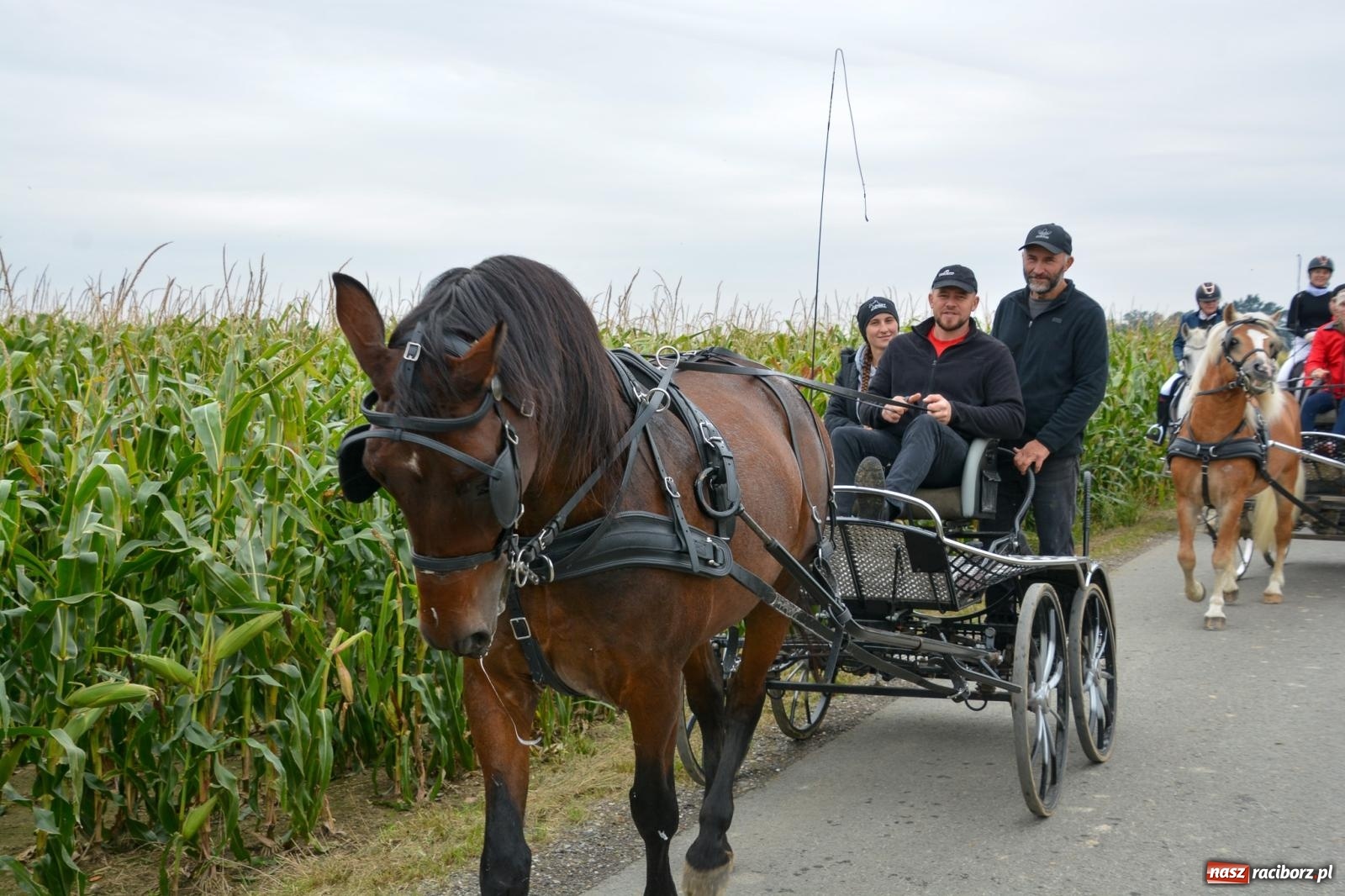 Zdjęcie w galerii na portalu naszraciborz.pl: Hubertus w Żerdzinach – emocje na końskim grzbiecie i nowe atrakcje dla miłośników jeździectwa wiadomości z regionu