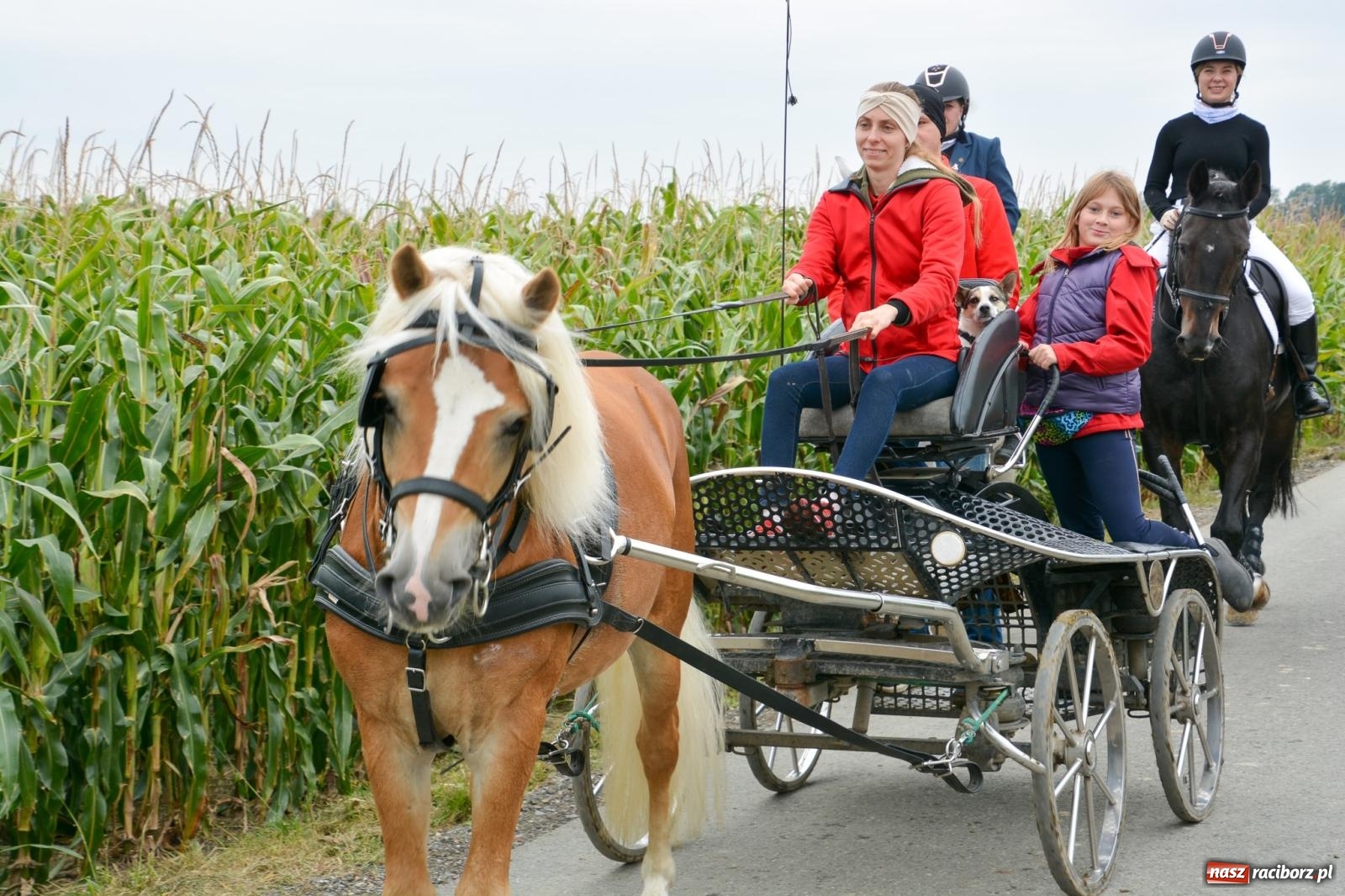 Zdjęcie w galerii na portalu naszraciborz.pl: Hubertus w Żerdzinach – emocje na końskim grzbiecie i nowe atrakcje dla miłośników jeździectwa wiadomości z regionu