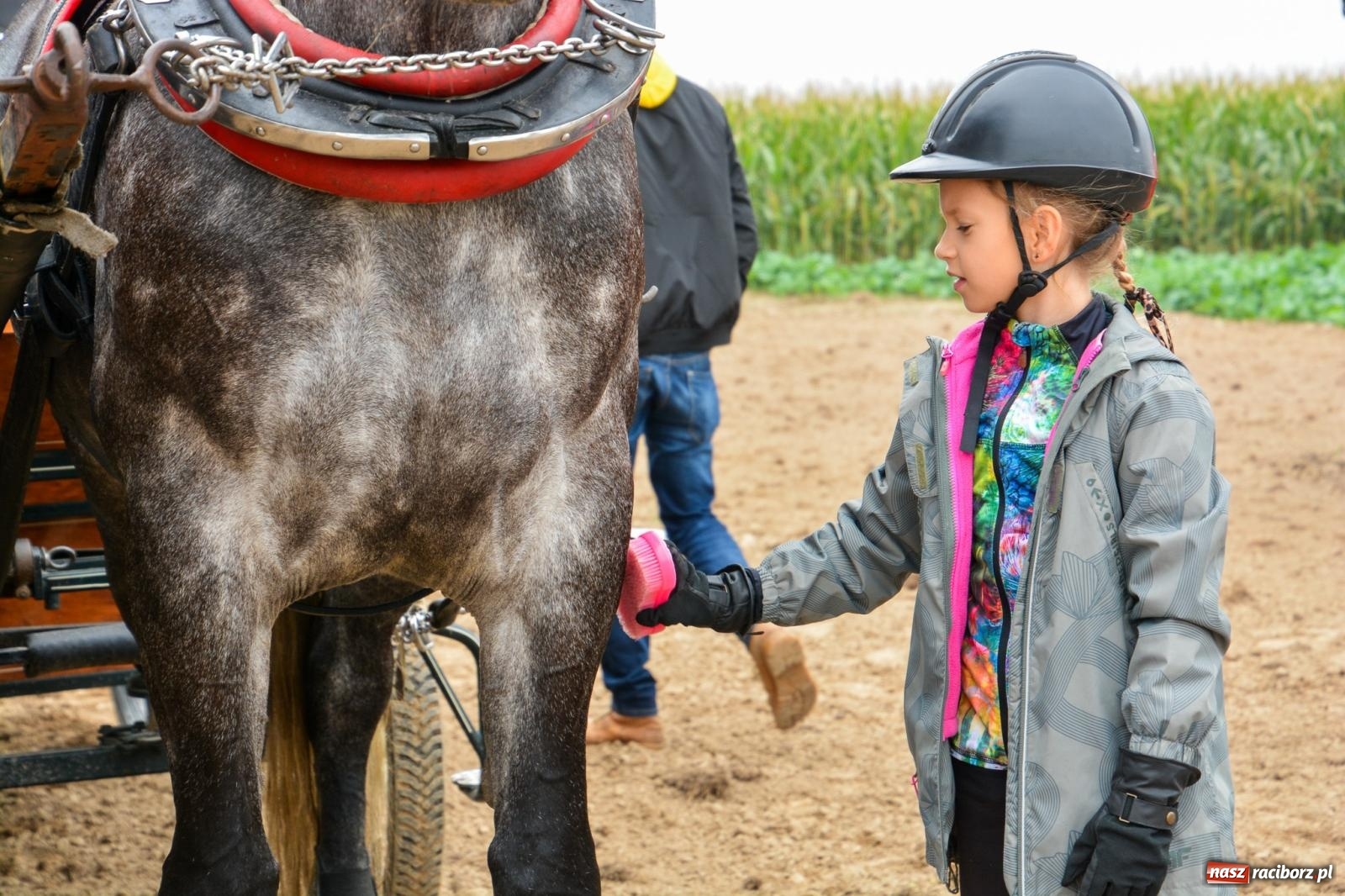 Zdjęcie w galerii na portalu naszraciborz.pl: Hubertus w Żerdzinach – emocje na końskim grzbiecie i nowe atrakcje dla miłośników jeździectwa wiadomości z regionu