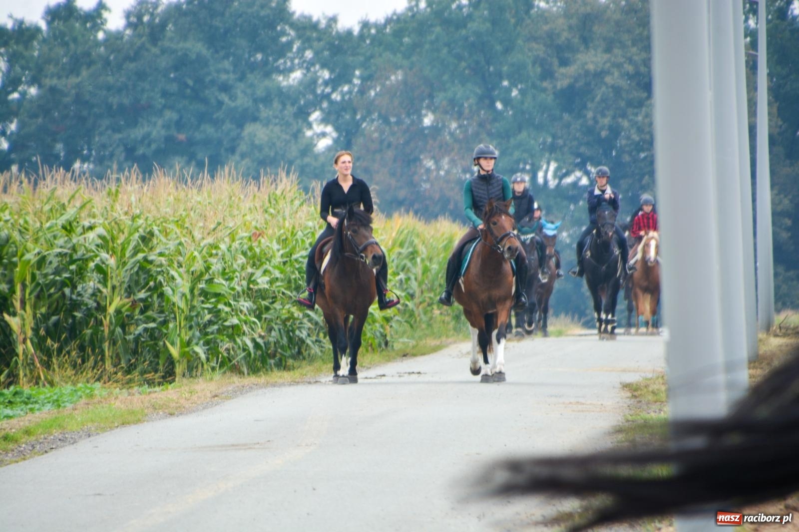 Zdjęcie w galerii na portalu naszraciborz.pl: Hubertus w Żerdzinach – emocje na końskim grzbiecie i nowe atrakcje dla miłośników jeździectwa wiadomości z regionu