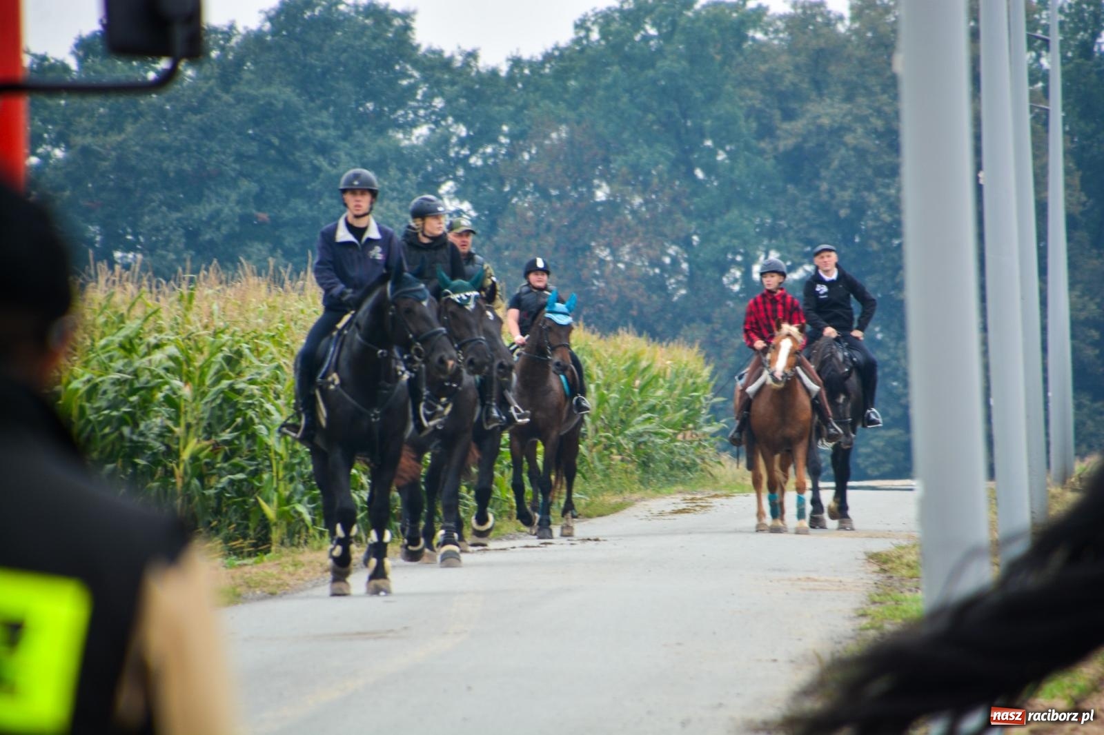 Zdjęcie w galerii na portalu naszraciborz.pl: Hubertus w Żerdzinach – emocje na końskim grzbiecie i nowe atrakcje dla miłośników jeździectwa wiadomości z regionu