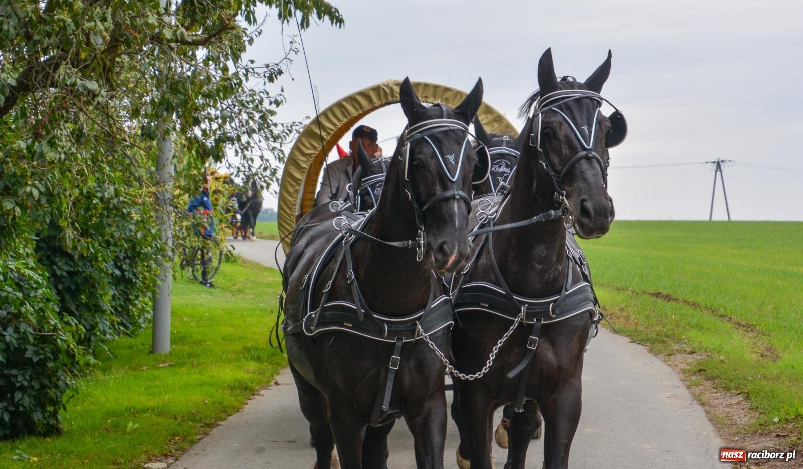 Zdjęcie w galerii na portalu naszraciborz.pl: Hubertus w Żerdzinach – emocje na końskim grzbiecie i nowe atrakcje dla miłośników jeździectwa wiadomości z regionu