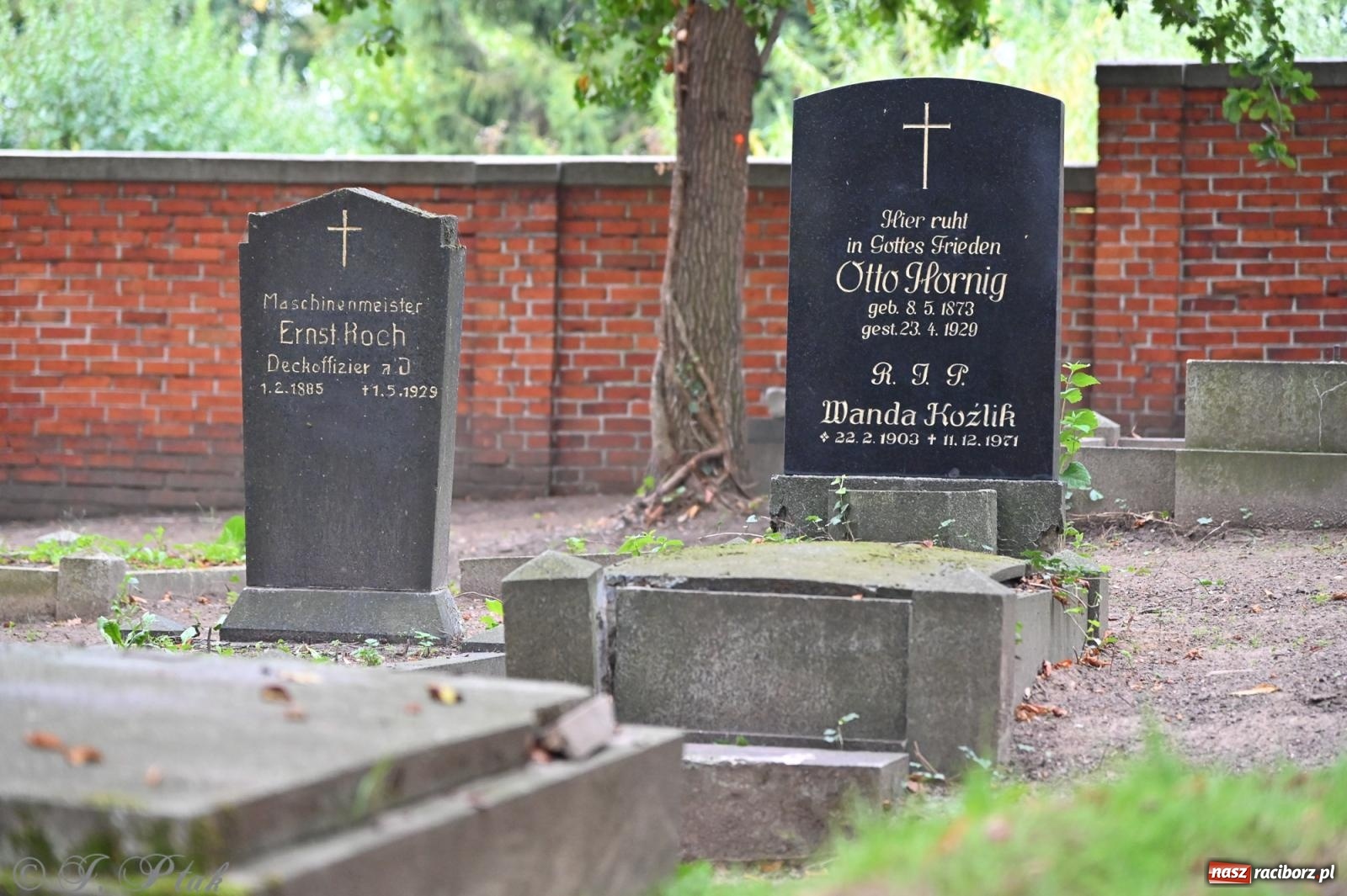 Zdjęcie w galerii na portalu naszraciborz.pl: Muzyka na wzgórzu i zwiedzanie kaplicy – koncert, który obudził ciszę cmentarza ewangelickiego w Raciborzu wiadomości z regionu