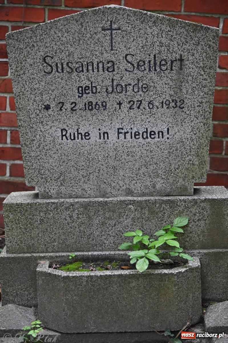 Zdjęcie w galerii na portalu naszraciborz.pl: Muzyka na wzgórzu i zwiedzanie kaplicy – koncert, który obudził ciszę cmentarza ewangelickiego w Raciborzu wiadomości z regionu