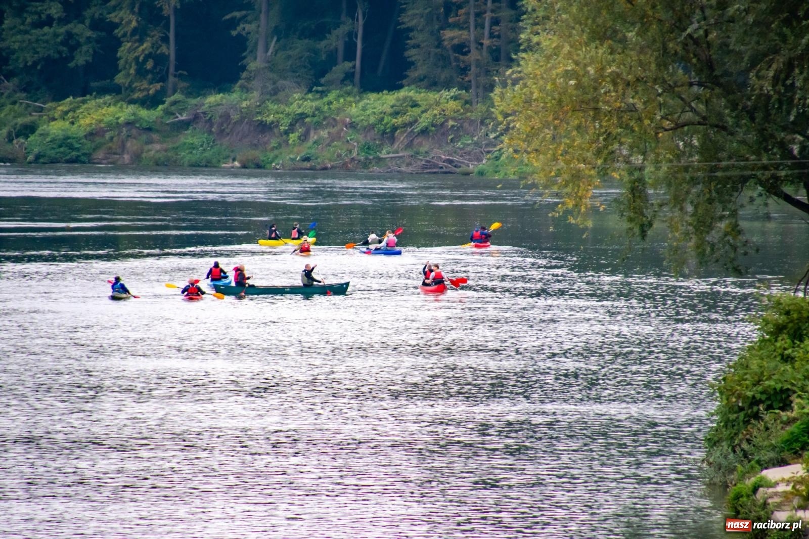 Zdjęcie w galerii na portalu naszraciborz.pl: Graniczne Meandry Odry symbolicznie zamknięte. Do przyszłego roku wiadomości z regionu