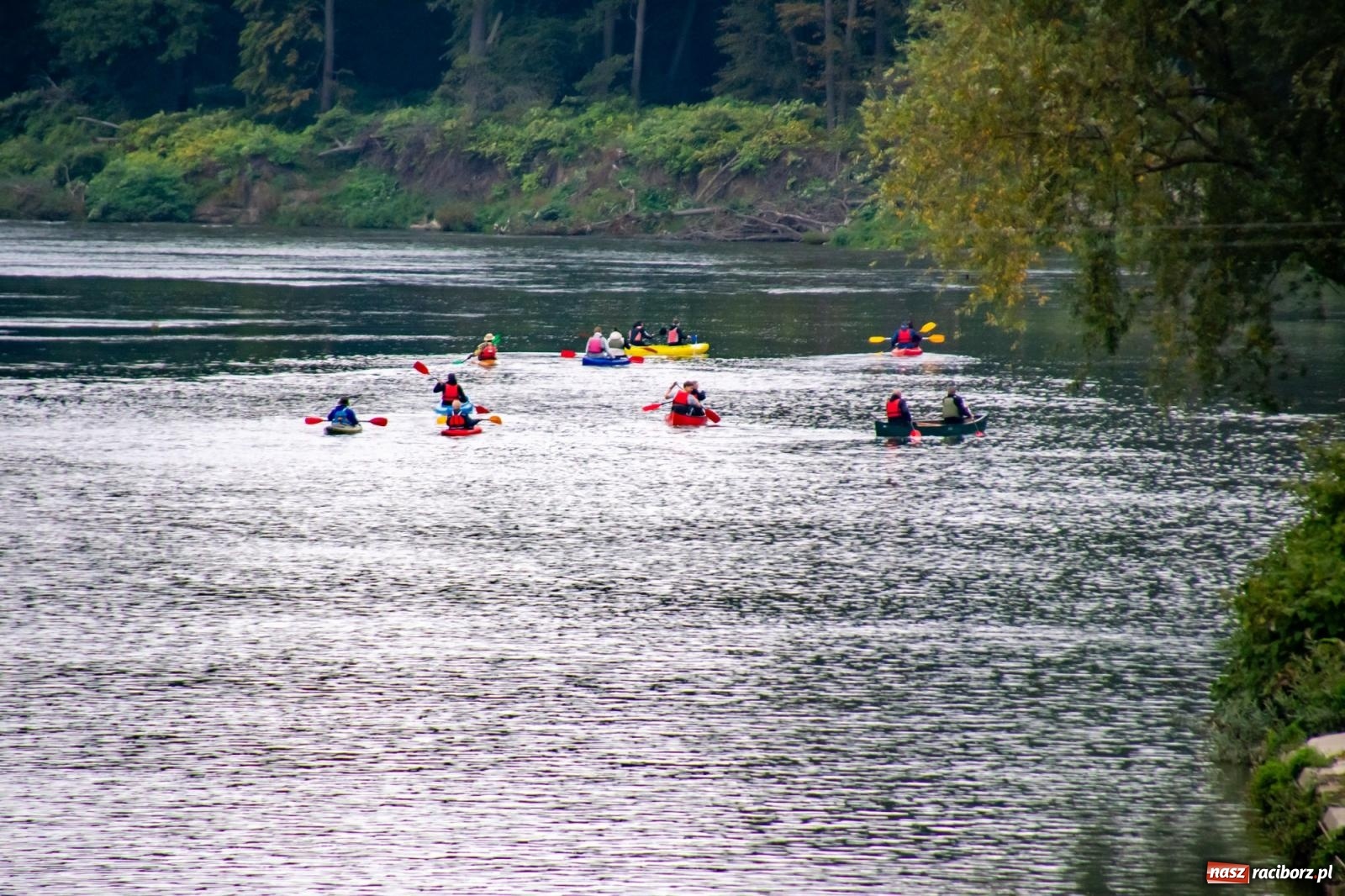 Zdjęcie w galerii na portalu naszraciborz.pl: Graniczne Meandry Odry symbolicznie zamknięte. Do przyszłego roku wiadomości z regionu