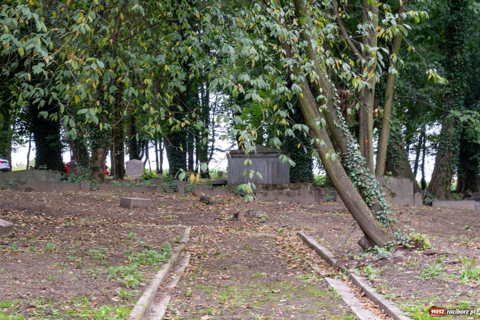 Zdjęcie w galerii na portalu naszraciborz.pl: Ile w nas pamięci, tyle w nas przyszłości. Ewangelicki cmentarz odkryty na nowo [FOTO i WIDEO] wiadomości z regionu