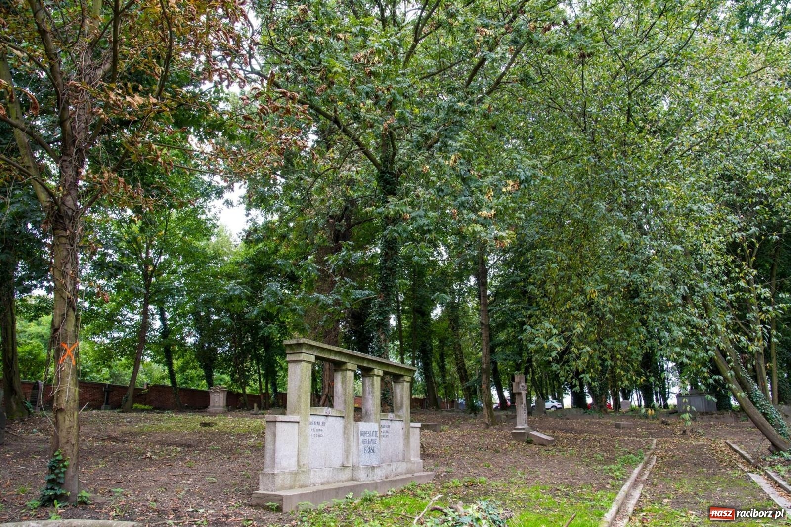 Zdjęcie w galerii na portalu naszraciborz.pl: Ile w nas pamięci, tyle w nas przyszłości. Ewangelicki cmentarz odkryty na nowo [FOTO i WIDEO] wiadomości z regionu