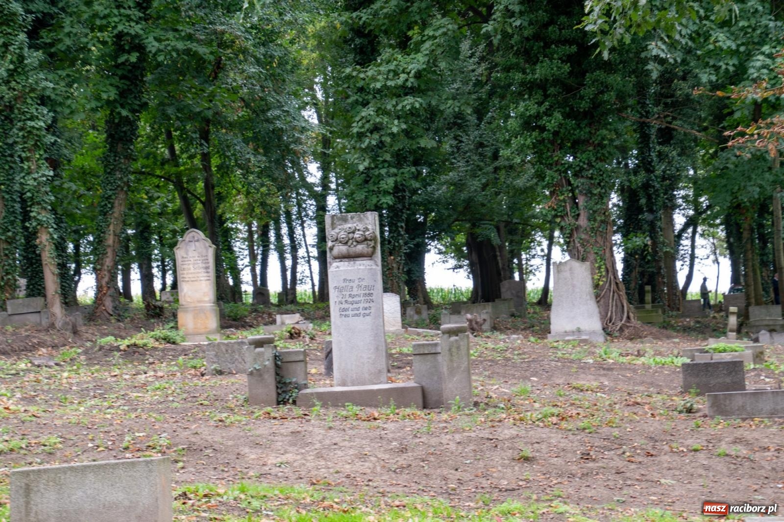 Zdjęcie w galerii na portalu naszraciborz.pl: Ile w nas pamięci, tyle w nas przyszłości. Ewangelicki cmentarz odkryty na nowo [FOTO i WIDEO] wiadomości z regionu