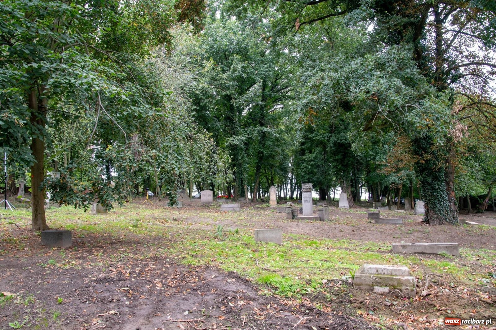 Zdjęcie w galerii na portalu naszraciborz.pl: Ile w nas pamięci, tyle w nas przyszłości. Ewangelicki cmentarz odkryty na nowo [FOTO i WIDEO] wiadomości z regionu