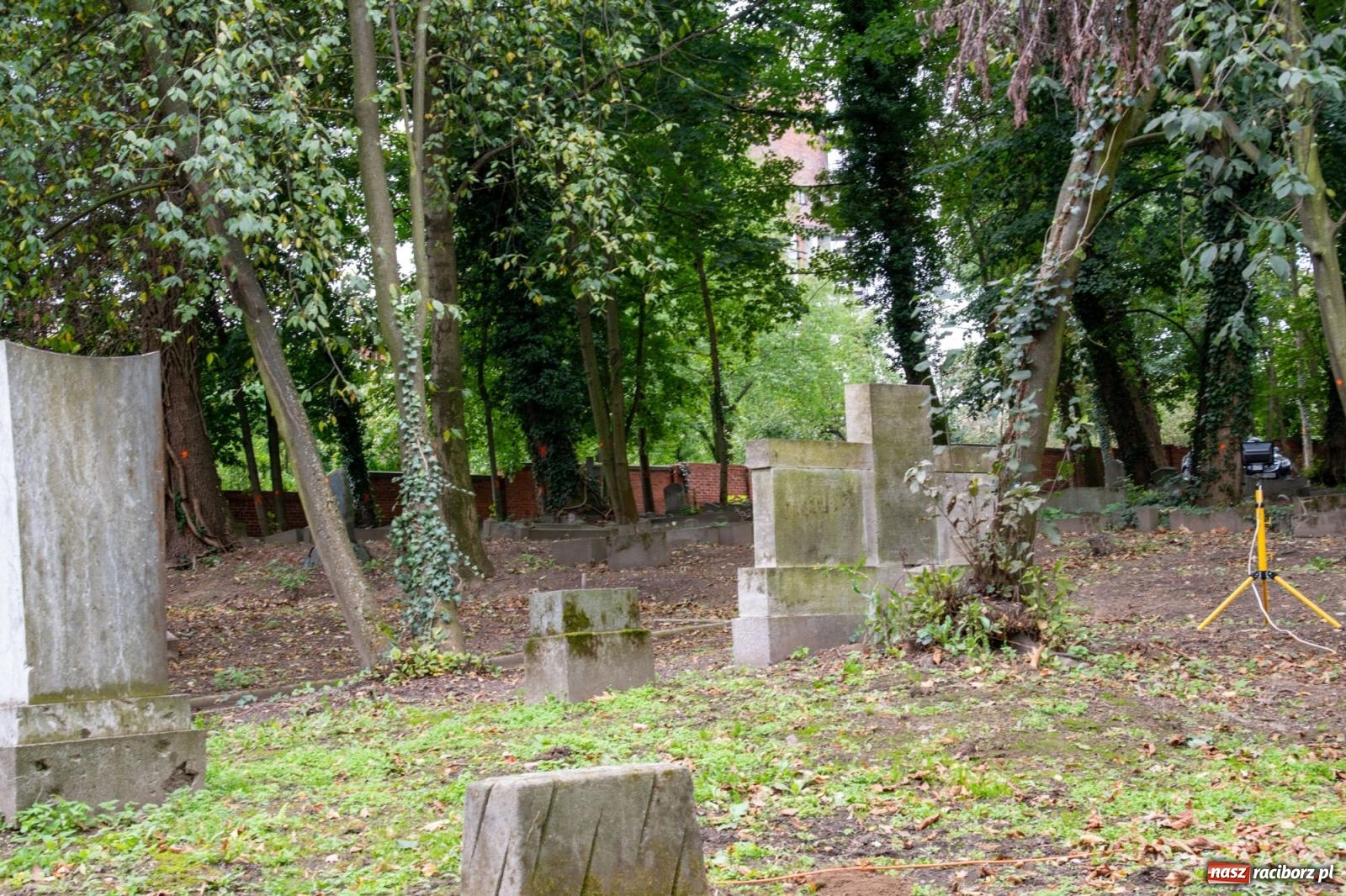 Zdjęcie w galerii na portalu naszraciborz.pl: Ile w nas pamięci, tyle w nas przyszłości. Ewangelicki cmentarz odkryty na nowo [FOTO i WIDEO] wiadomości z regionu