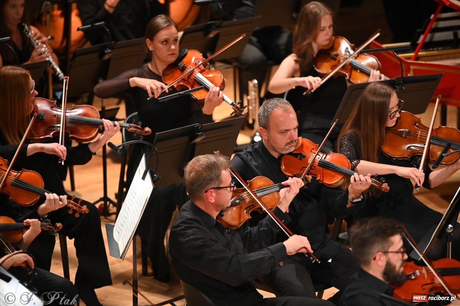 Zdjęcie w galerii na portalu naszraciborz.pl: Finał 20. Międzynarodowego Festiwalu im. Gorczyckiego w Raciborzu wiadomości z regionu