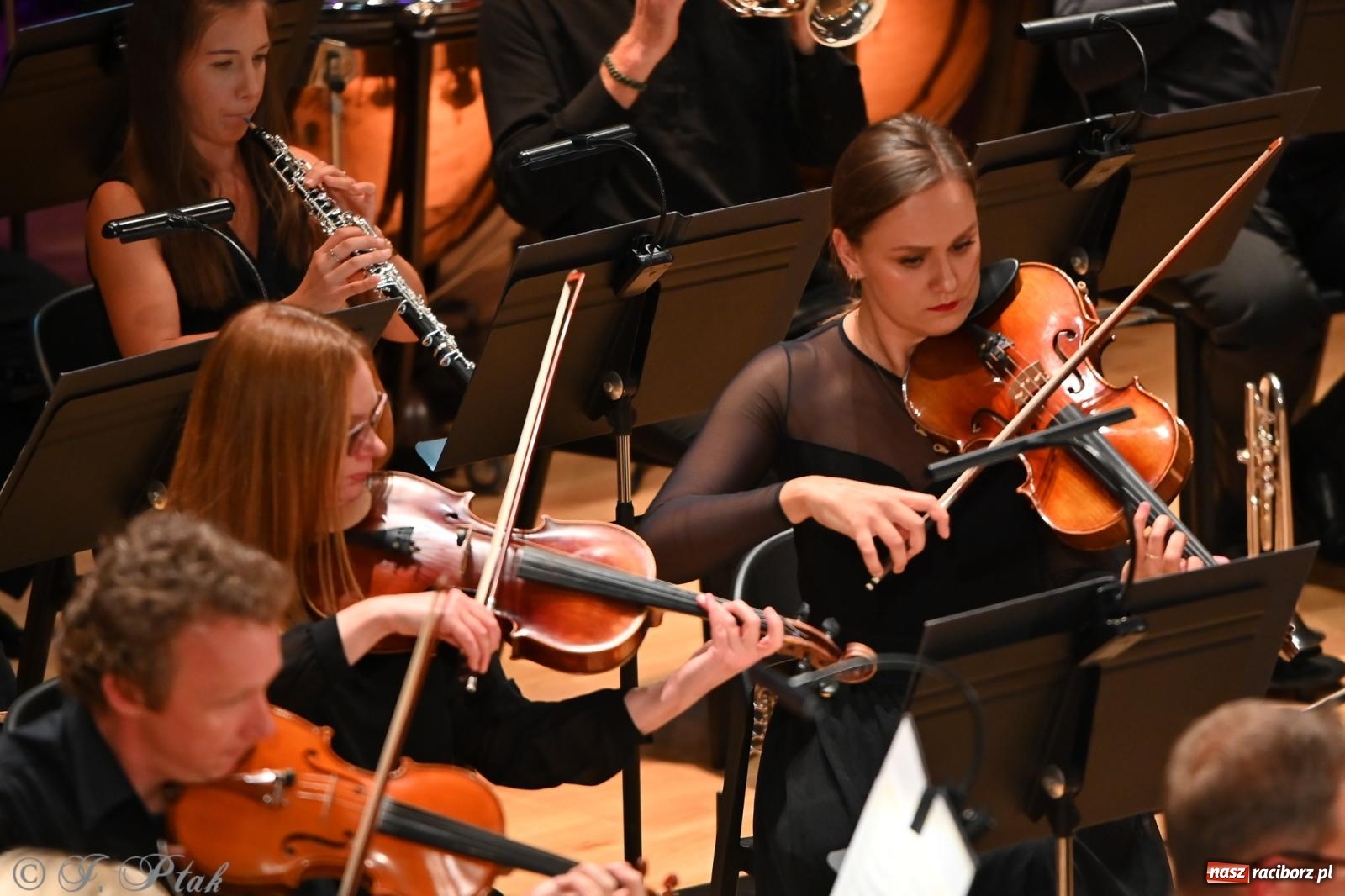 Zdjęcie w galerii na portalu naszraciborz.pl: Finał 20. Międzynarodowego Festiwalu im. Gorczyckiego w Raciborzu wiadomości z regionu