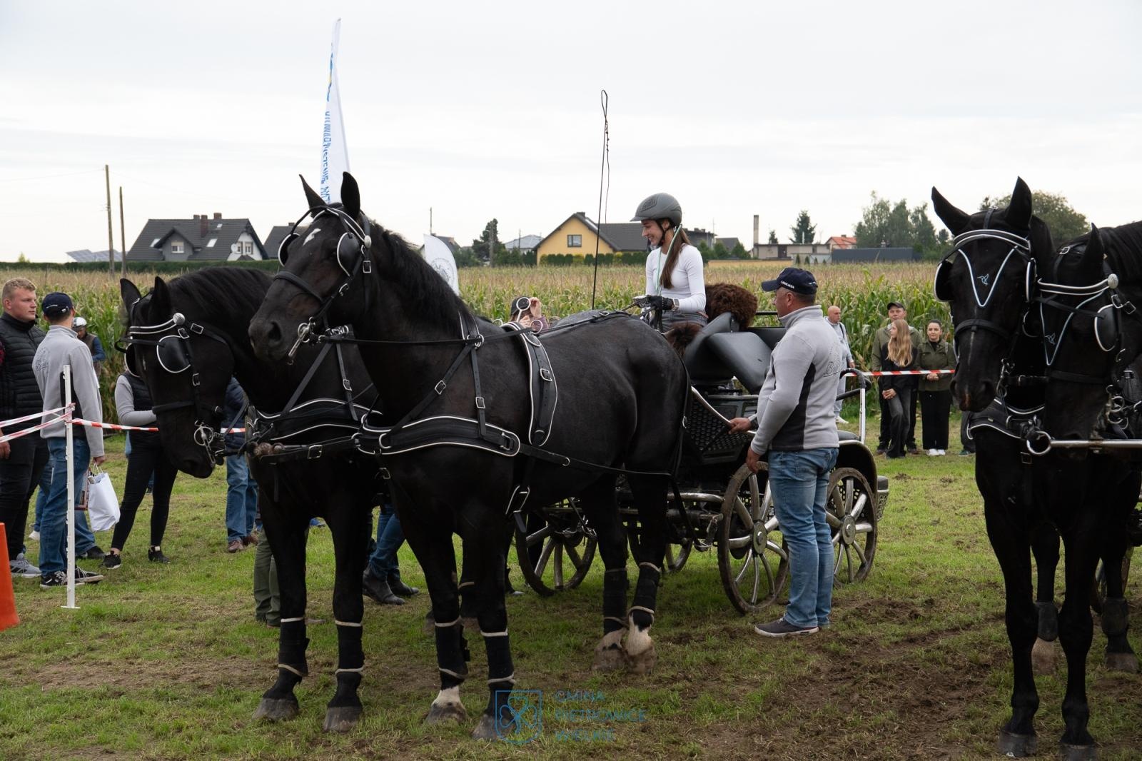 Zdjęcie w galerii na portalu naszraciborz.pl: Hubertus w Żerdzinach – relacja na bis z wydarzenia jeździeckiego i nowej atrakcji dla miłośników tradycji wiadomości z regionu