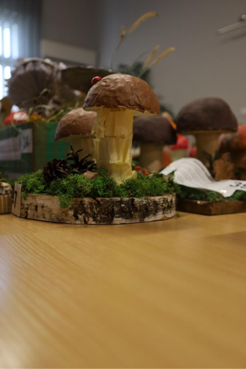 Zdjęcie w galerii na portalu naszraciborz.pl: Rozstrzygnięcie konkursu Bezpieczne Grzybobranie 2025 wiadomości z regionu