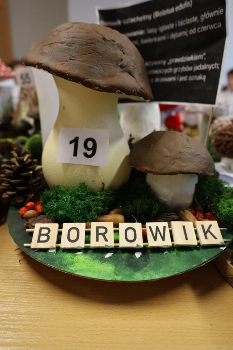 Zdjęcie w galerii na portalu naszraciborz.pl: Rozstrzygnięcie konkursu Bezpieczne Grzybobranie 2025 wiadomości z regionu