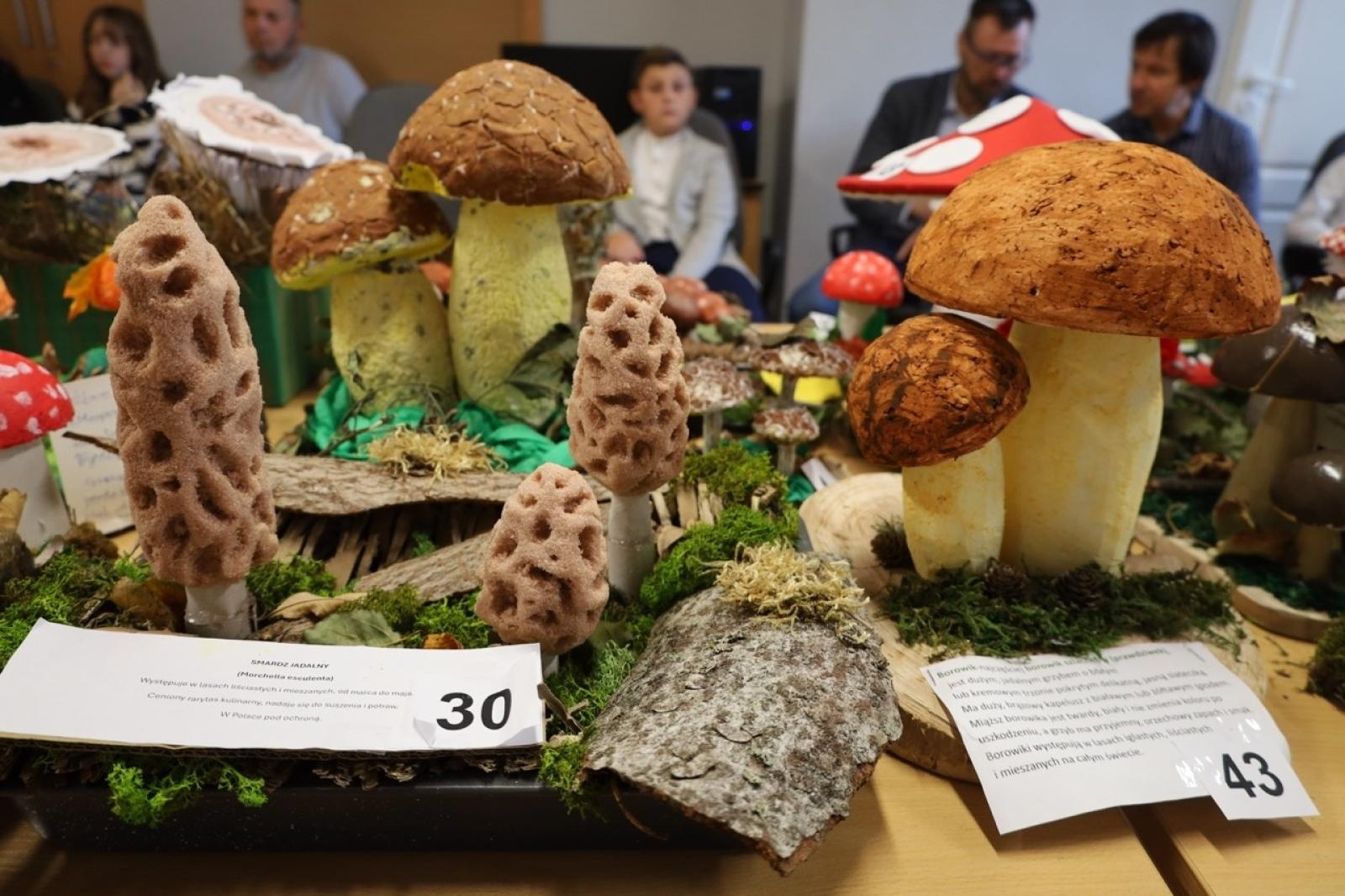 Zdjęcie w galerii na portalu naszraciborz.pl: Rozstrzygnięcie konkursu Bezpieczne Grzybobranie 2025 wiadomości z regionu