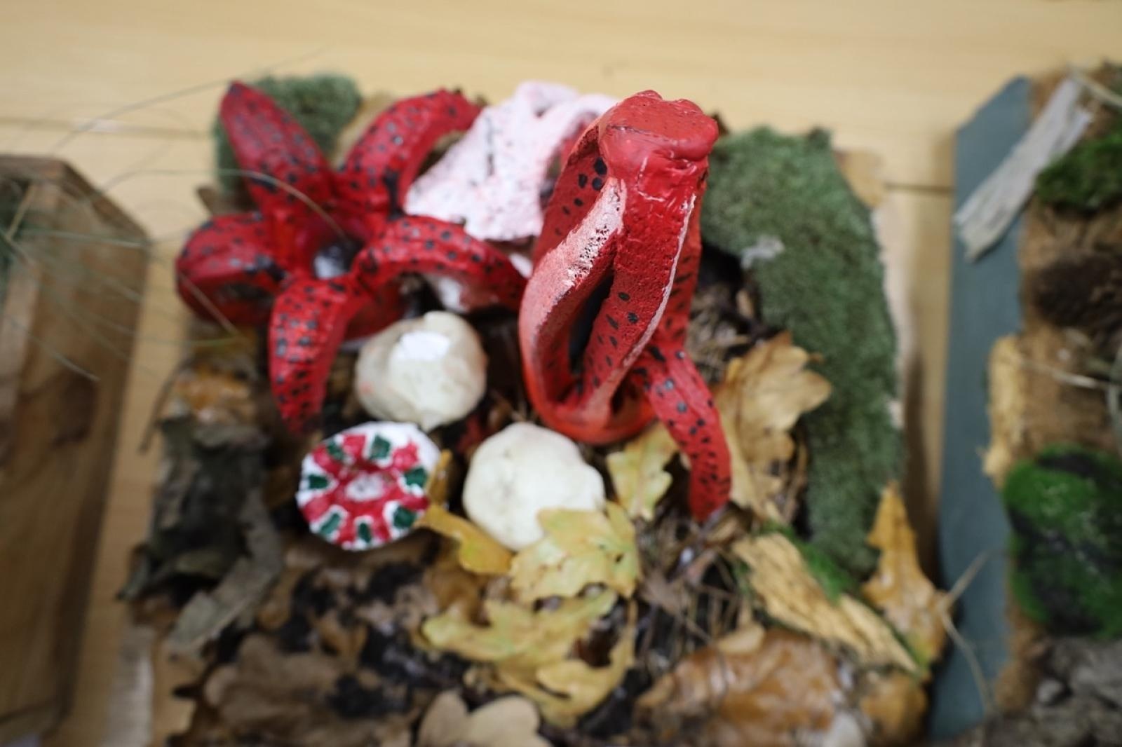 Zdjęcie w galerii na portalu naszraciborz.pl: Rozstrzygnięcie konkursu Bezpieczne Grzybobranie 2025 wiadomości z regionu