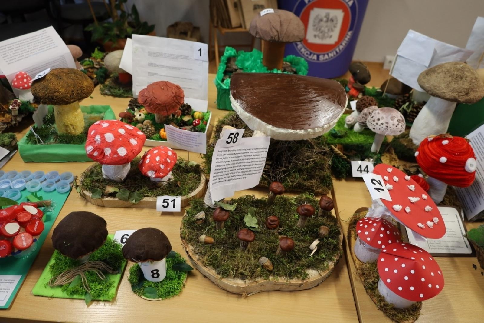 Zdjęcie w galerii na portalu naszraciborz.pl: Rozstrzygnięcie konkursu Bezpieczne Grzybobranie 2025 wiadomości z regionu