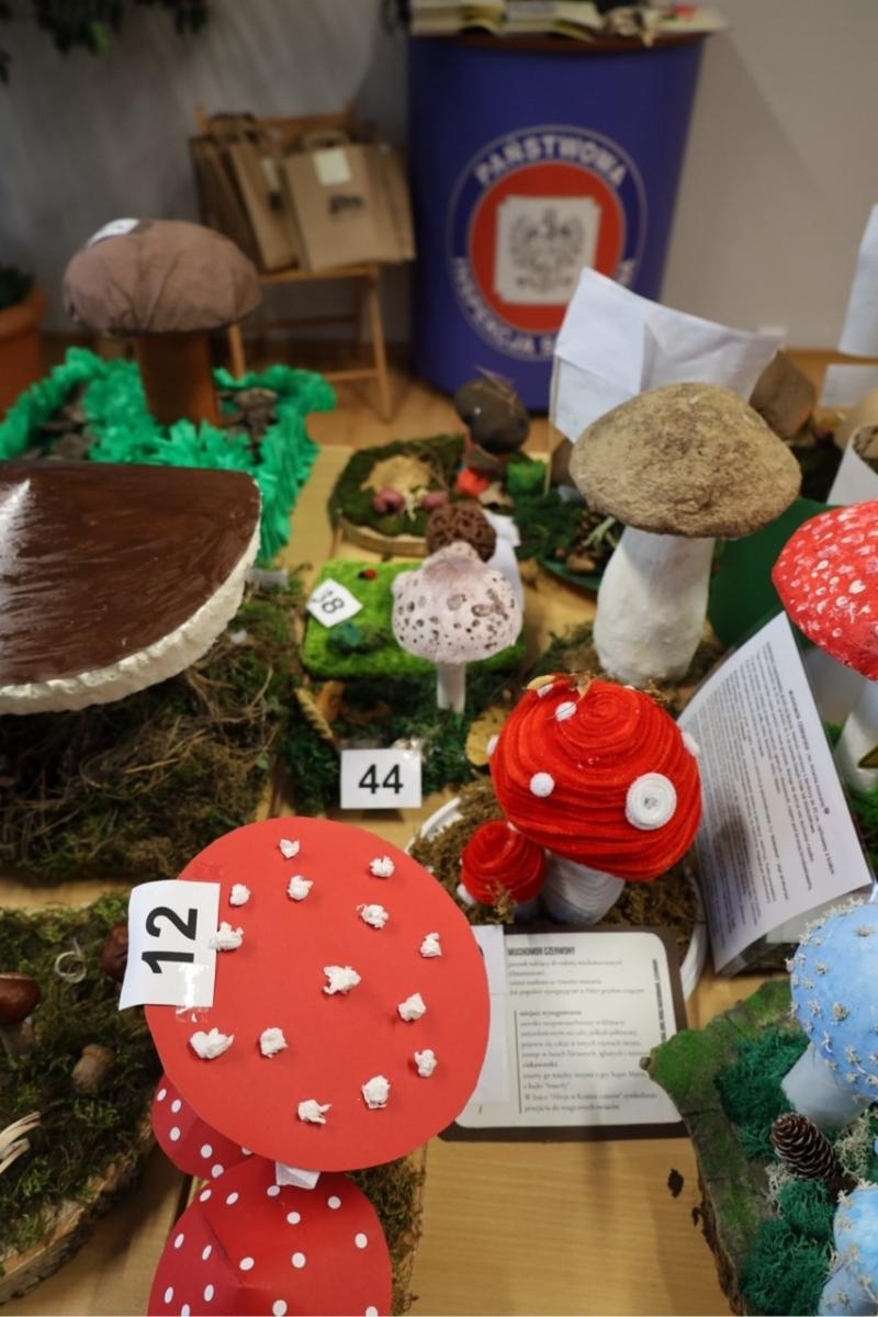 Zdjęcie w galerii na portalu naszraciborz.pl: Rozstrzygnięcie konkursu Bezpieczne Grzybobranie 2025 wiadomości z regionu