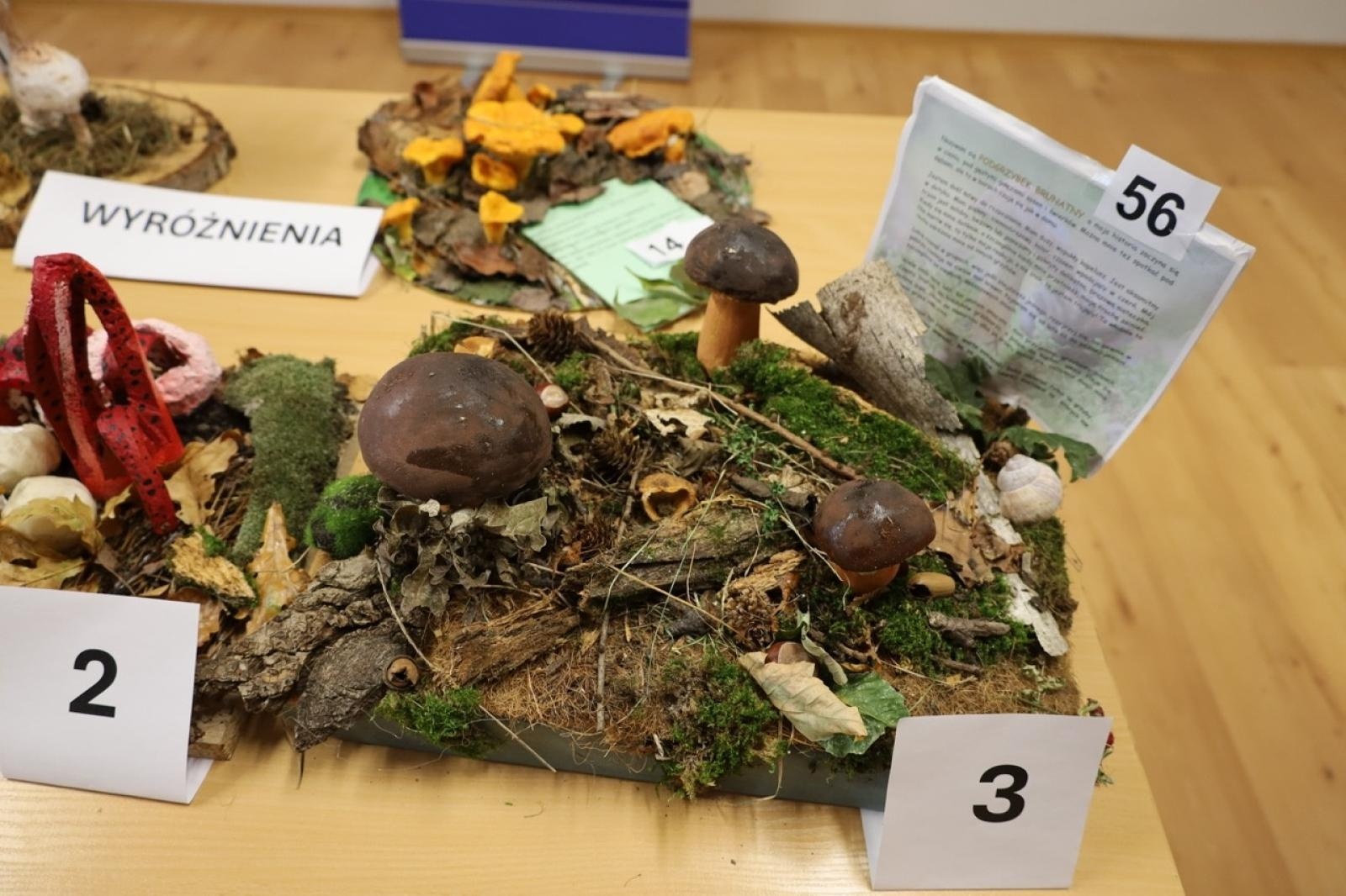 Zdjęcie w galerii na portalu naszraciborz.pl: Rozstrzygnięcie konkursu Bezpieczne Grzybobranie 2025 wiadomości z regionu