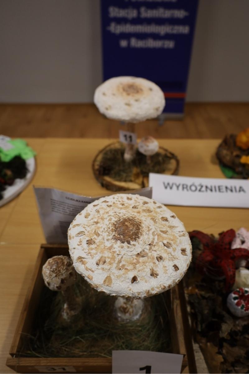 Zdjęcie w galerii na portalu naszraciborz.pl: Rozstrzygnięcie konkursu Bezpieczne Grzybobranie 2025 wiadomości z regionu