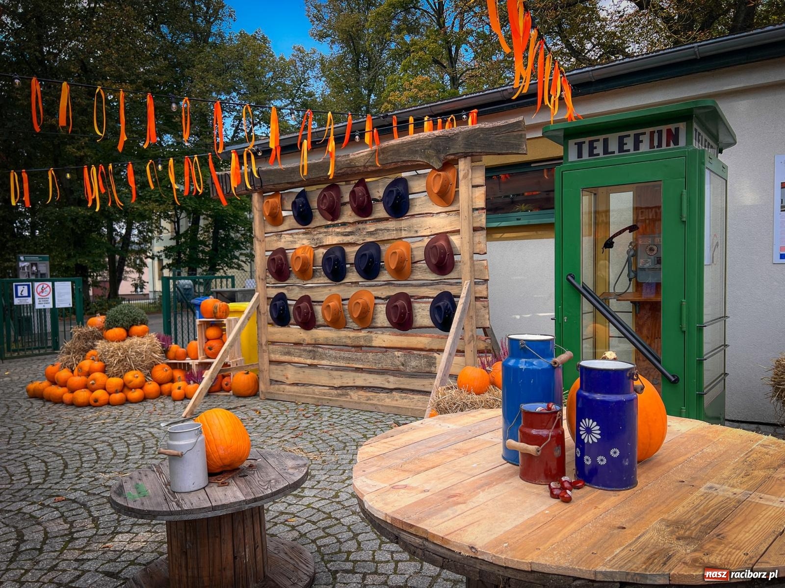 Zdjęcie w galerii na portalu naszraciborz.pl: Dyniowa Stacja Rudy – jesienna atrakcja dla całej rodziny wiadomości z regionu