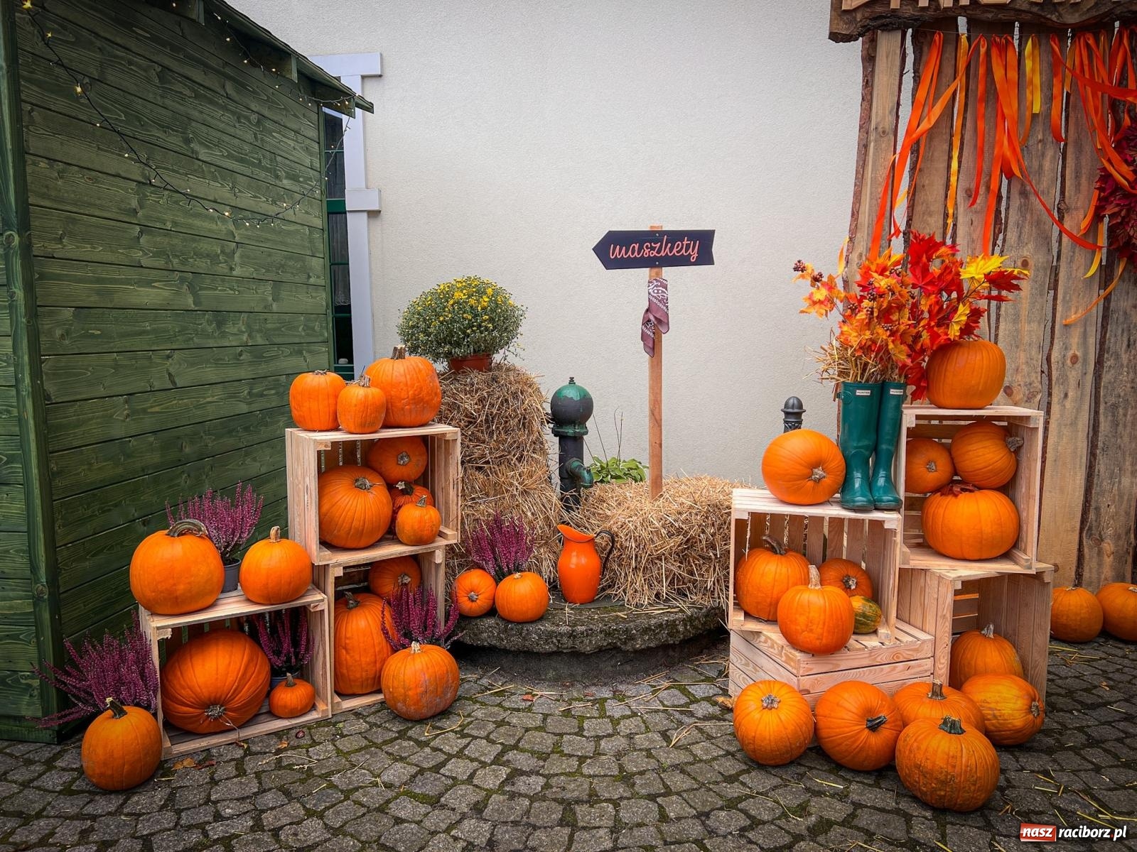 Zdjęcie w galerii na portalu naszraciborz.pl: Dyniowa Stacja Rudy – jesienna atrakcja dla całej rodziny wiadomości z regionu