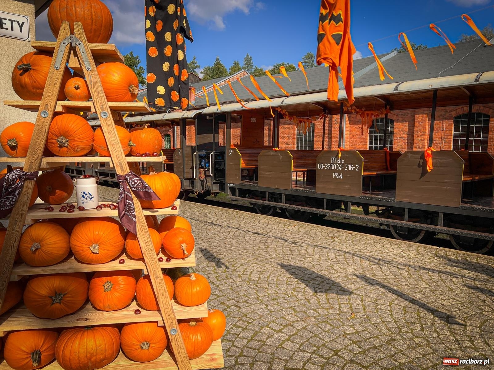 Zdjęcie w galerii na portalu naszraciborz.pl: Dyniowa Stacja Rudy – jesienna atrakcja dla całej rodziny wiadomości z regionu