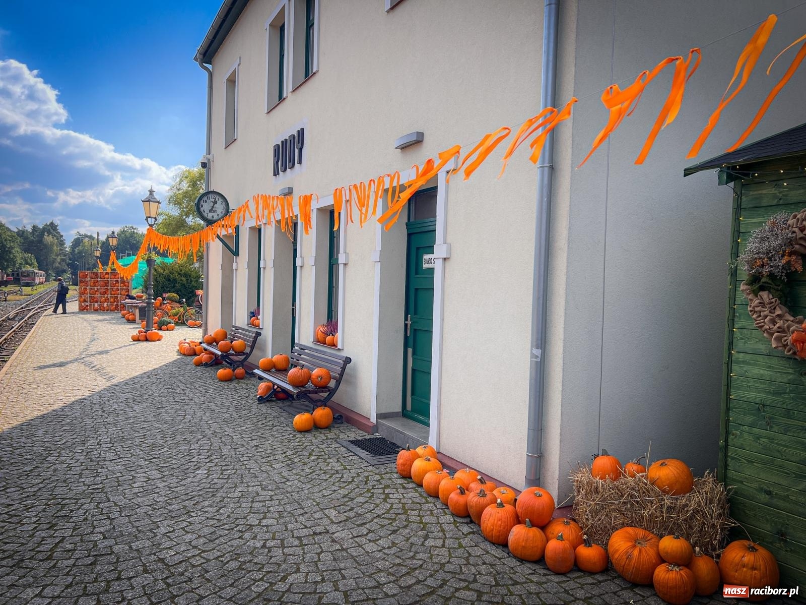 Zdjęcie w galerii na portalu naszraciborz.pl: Dyniowa Stacja Rudy – jesienna atrakcja dla całej rodziny wiadomości z regionu