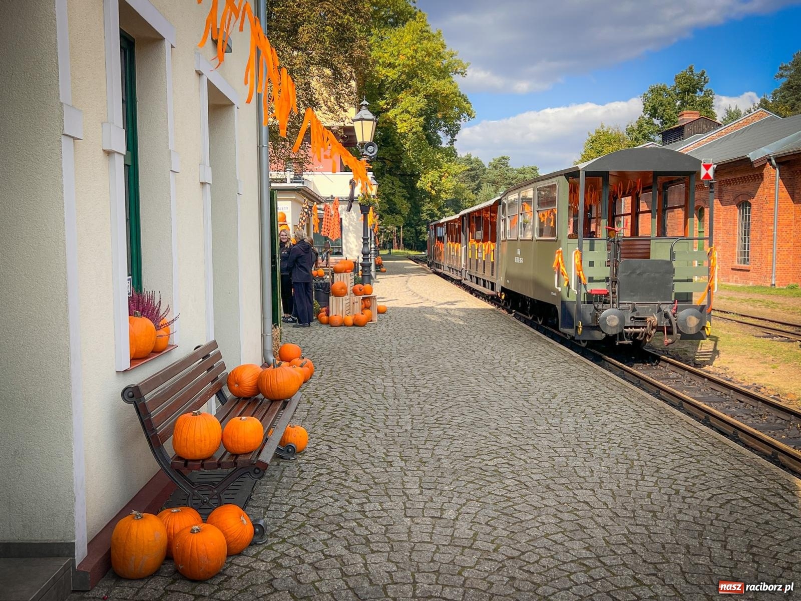 Zdjęcie w galerii na portalu naszraciborz.pl: Dyniowa Stacja Rudy – jesienna atrakcja dla całej rodziny wiadomości z regionu