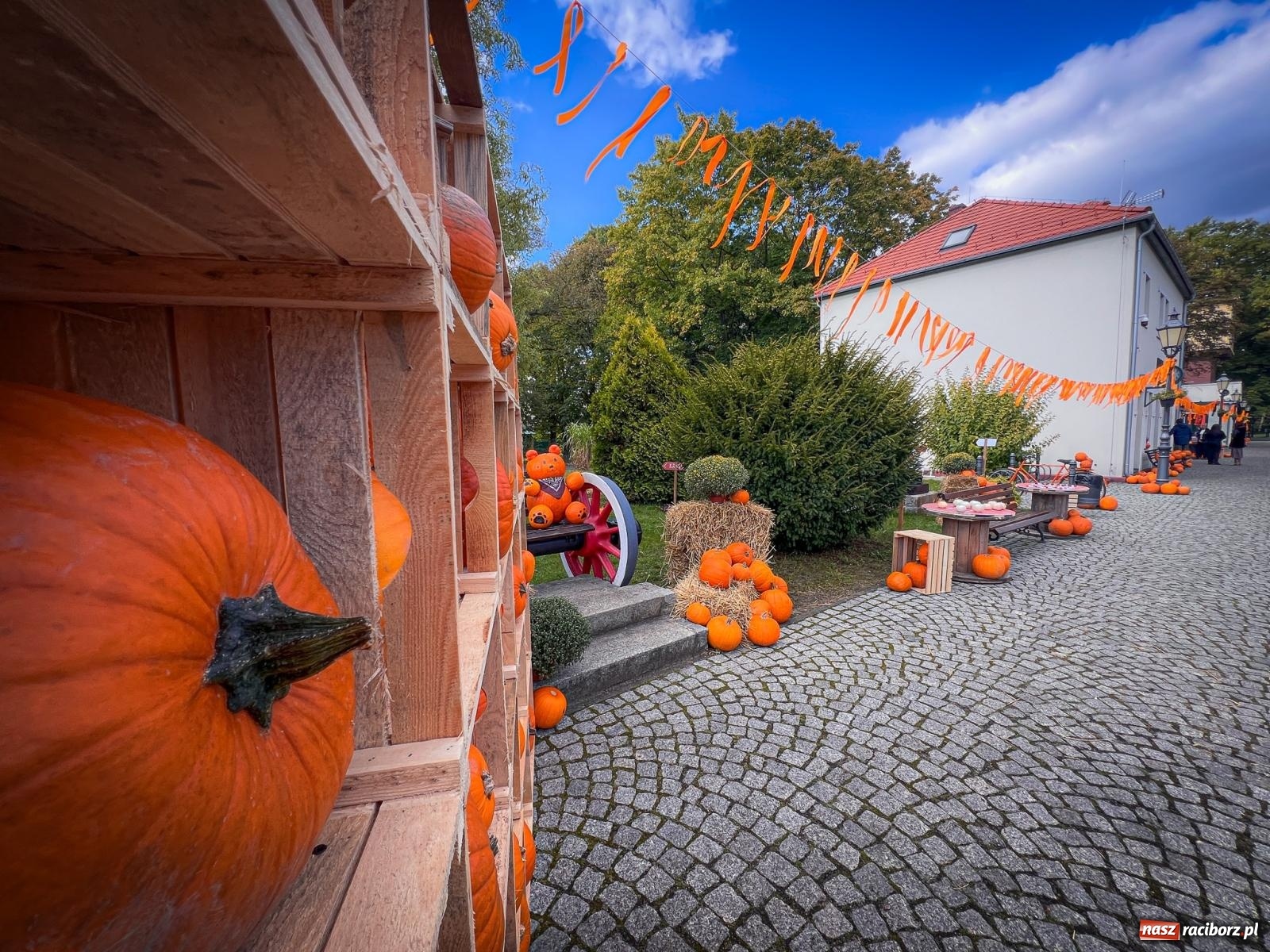 Zdjęcie w galerii na portalu naszraciborz.pl: Dyniowa Stacja Rudy – jesienna atrakcja dla całej rodziny wiadomości z regionu