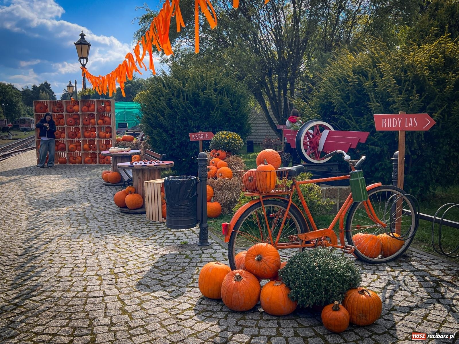 Zdjęcie w galerii na portalu naszraciborz.pl: Dyniowa Stacja Rudy – jesienna atrakcja dla całej rodziny wiadomości z regionu