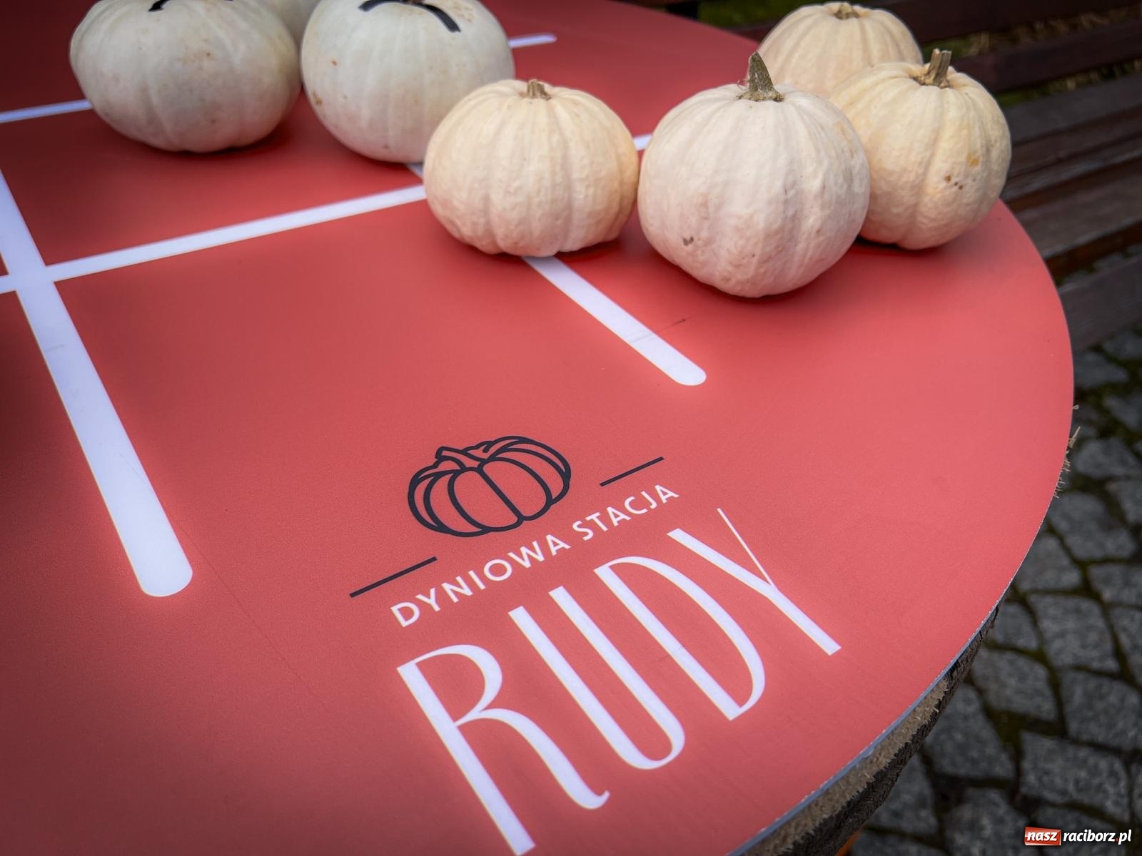 Zdjęcie w galerii na portalu naszraciborz.pl: Dyniowa Stacja Rudy – jesienna atrakcja dla całej rodziny wiadomości z regionu