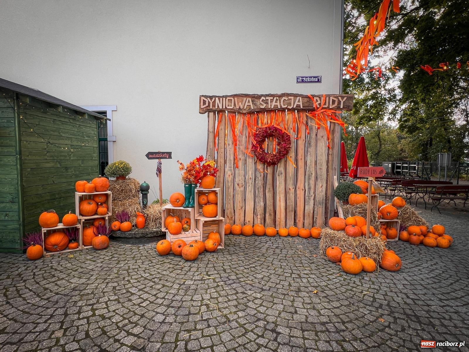 Zdjęcie w galerii na portalu naszraciborz.pl: Dyniowa Stacja Rudy – jesienna atrakcja dla całej rodziny wiadomości z regionu
