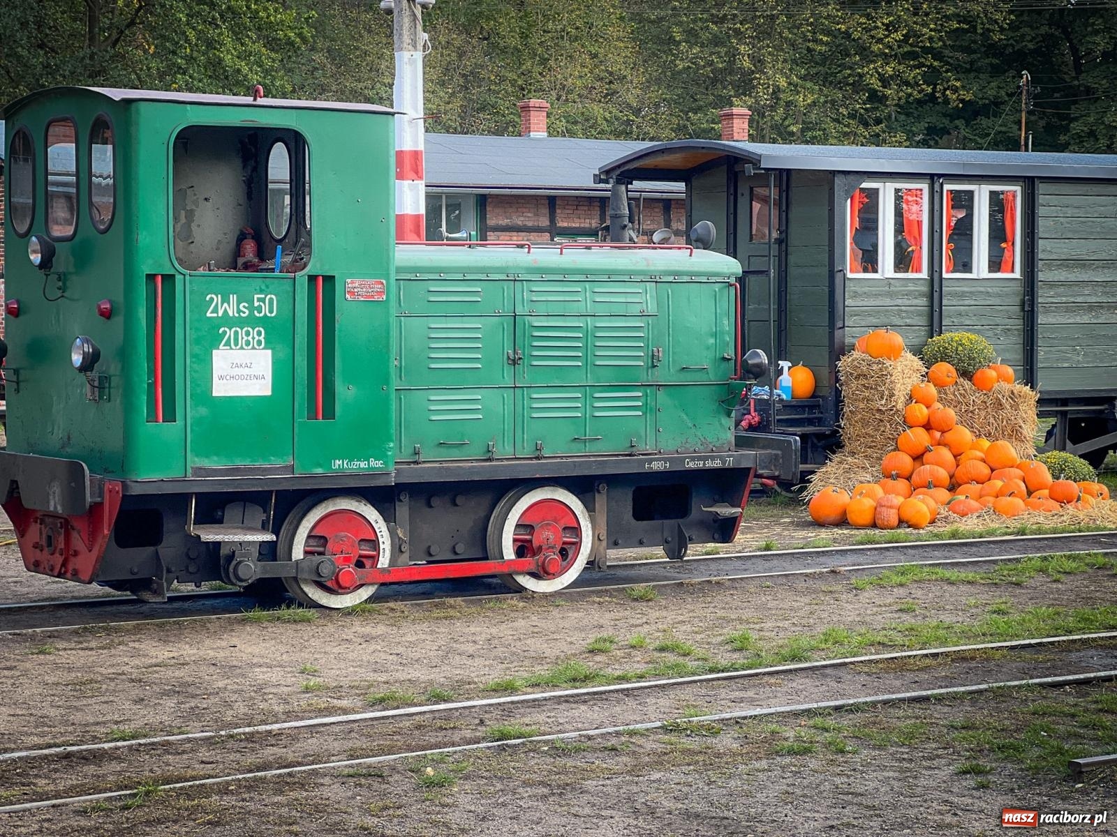 Zdjęcie w galerii na portalu naszraciborz.pl: Dyniowa Stacja Rudy – jesienna atrakcja dla całej rodziny wiadomości z regionu