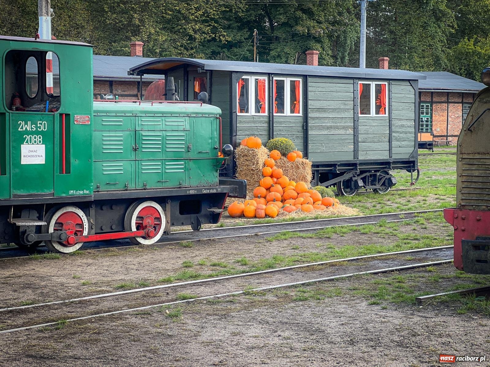 Zdjęcie w galerii na portalu naszraciborz.pl: Dyniowa Stacja Rudy – jesienna atrakcja dla całej rodziny wiadomości z regionu