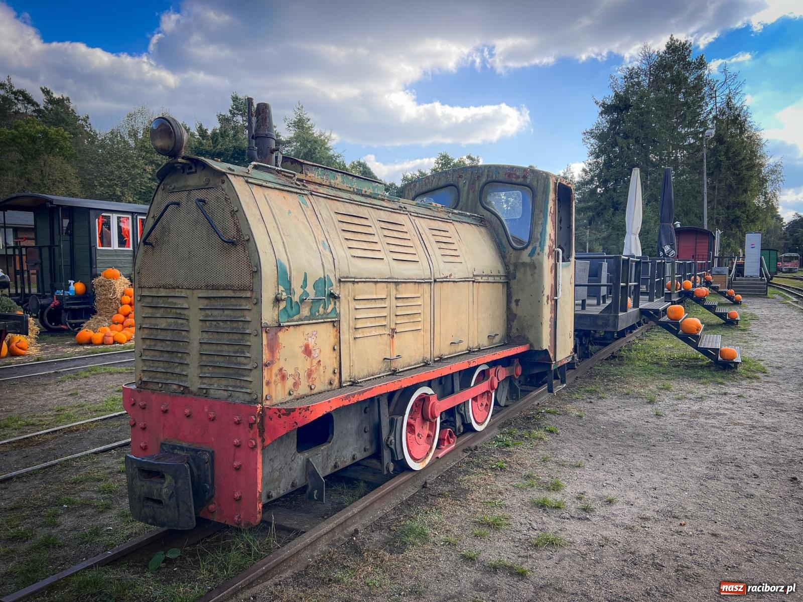 Zdjęcie w galerii na portalu naszraciborz.pl: Dyniowa Stacja Rudy – jesienna atrakcja dla całej rodziny wiadomości z regionu