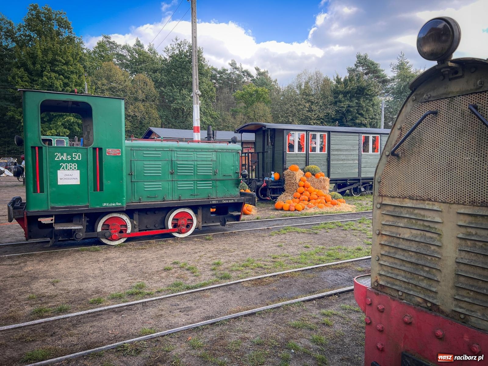 Zdjęcie w galerii na portalu naszraciborz.pl: Dyniowa Stacja Rudy – jesienna atrakcja dla całej rodziny wiadomości z regionu