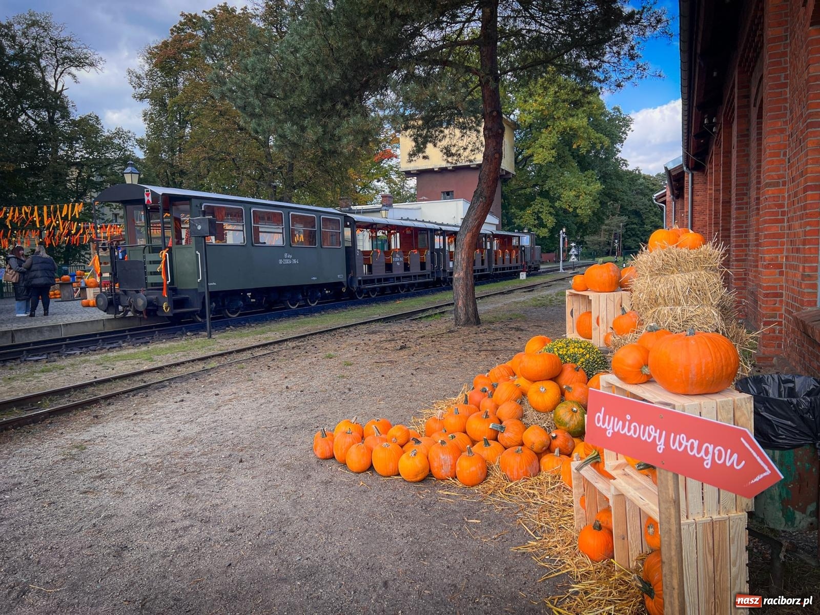 Zdjęcie w galerii na portalu naszraciborz.pl: Dyniowa Stacja Rudy – jesienna atrakcja dla całej rodziny wiadomości z regionu
