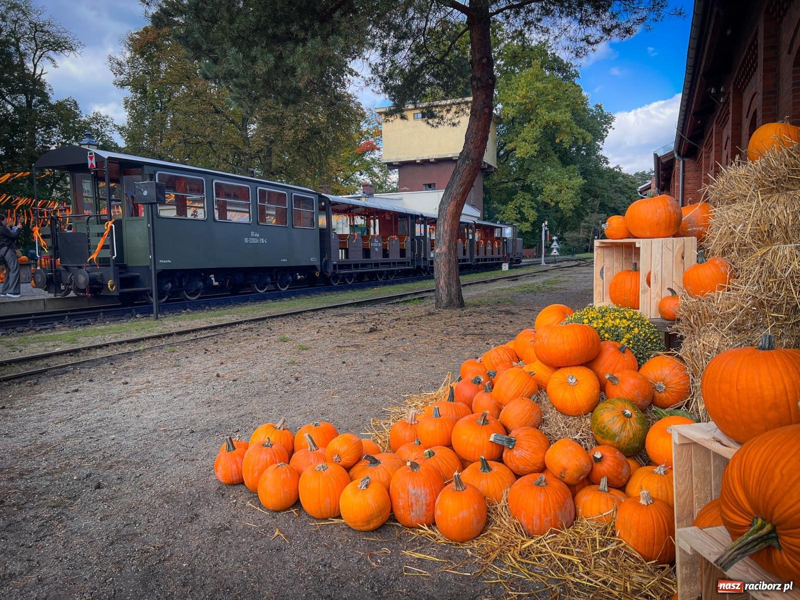 Zdjęcie w galerii na portalu naszraciborz.pl: Dyniowa Stacja Rudy – jesienna atrakcja dla całej rodziny wiadomości z regionu