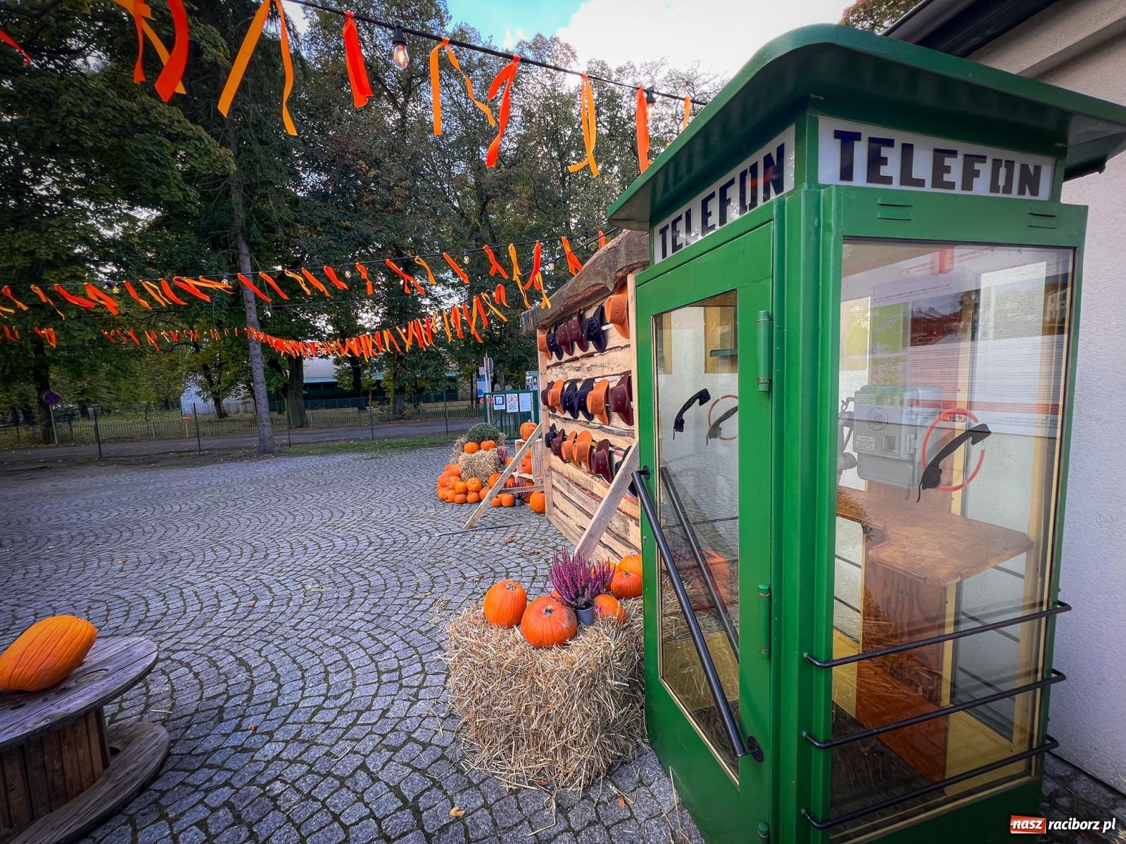 Zdjęcie w galerii na portalu naszraciborz.pl: Dyniowa Stacja Rudy – jesienna atrakcja dla całej rodziny wiadomości z regionu