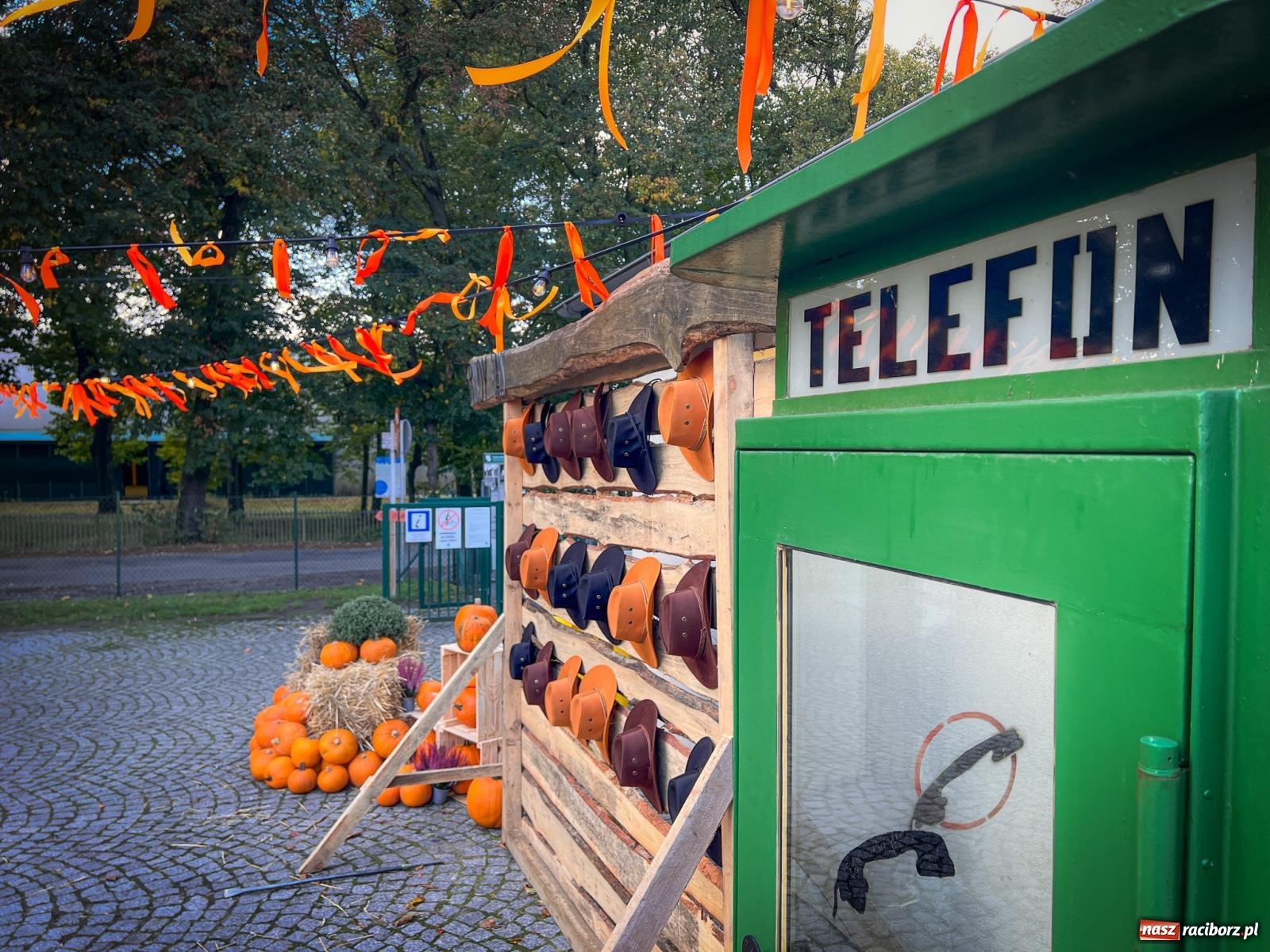 Zdjęcie w galerii na portalu naszraciborz.pl: Dyniowa Stacja Rudy – jesienna atrakcja dla całej rodziny wiadomości z regionu