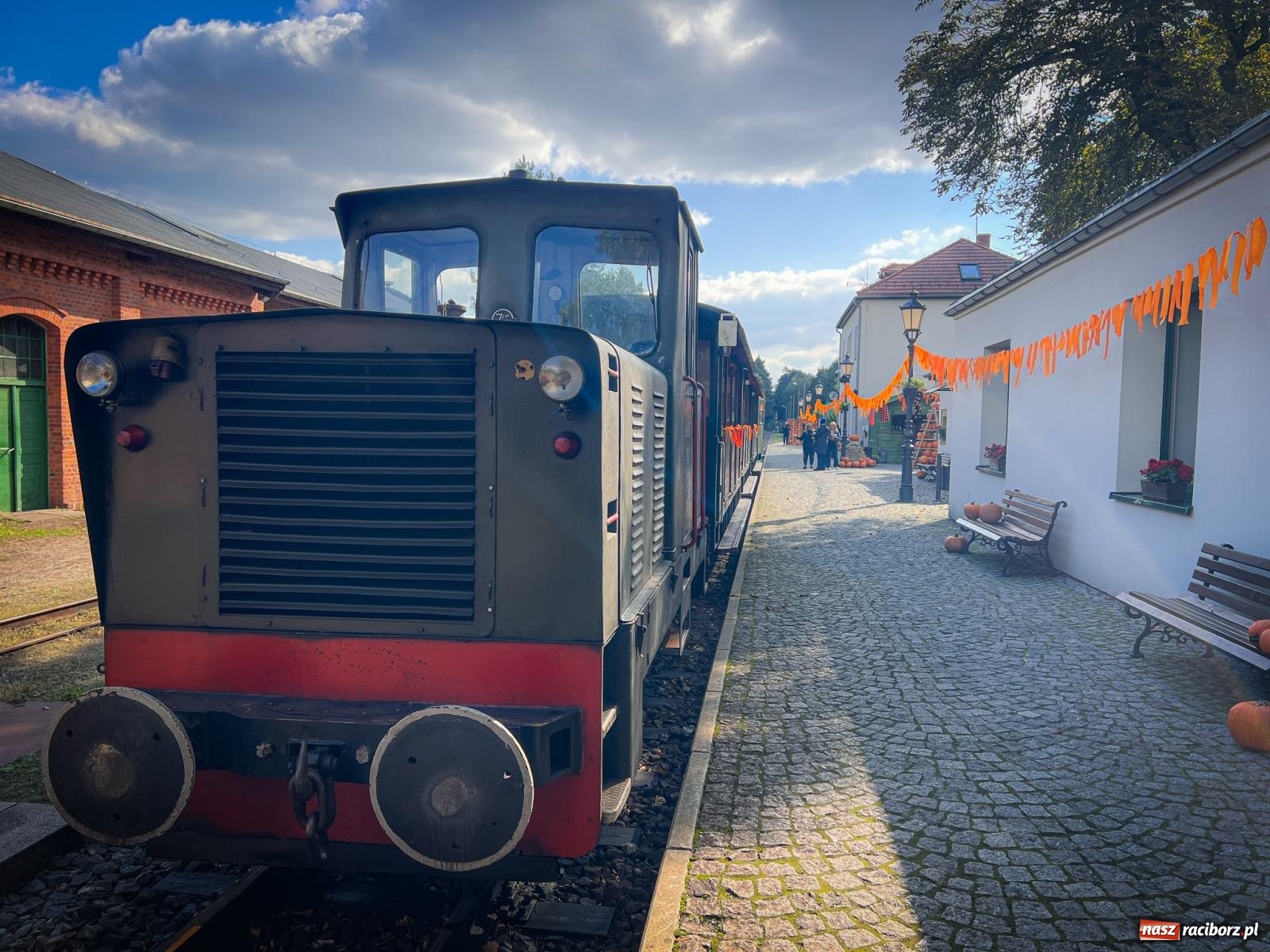 Zdjęcie w galerii na portalu naszraciborz.pl: Dyniowa Stacja Rudy – jesienna atrakcja dla całej rodziny wiadomości z regionu