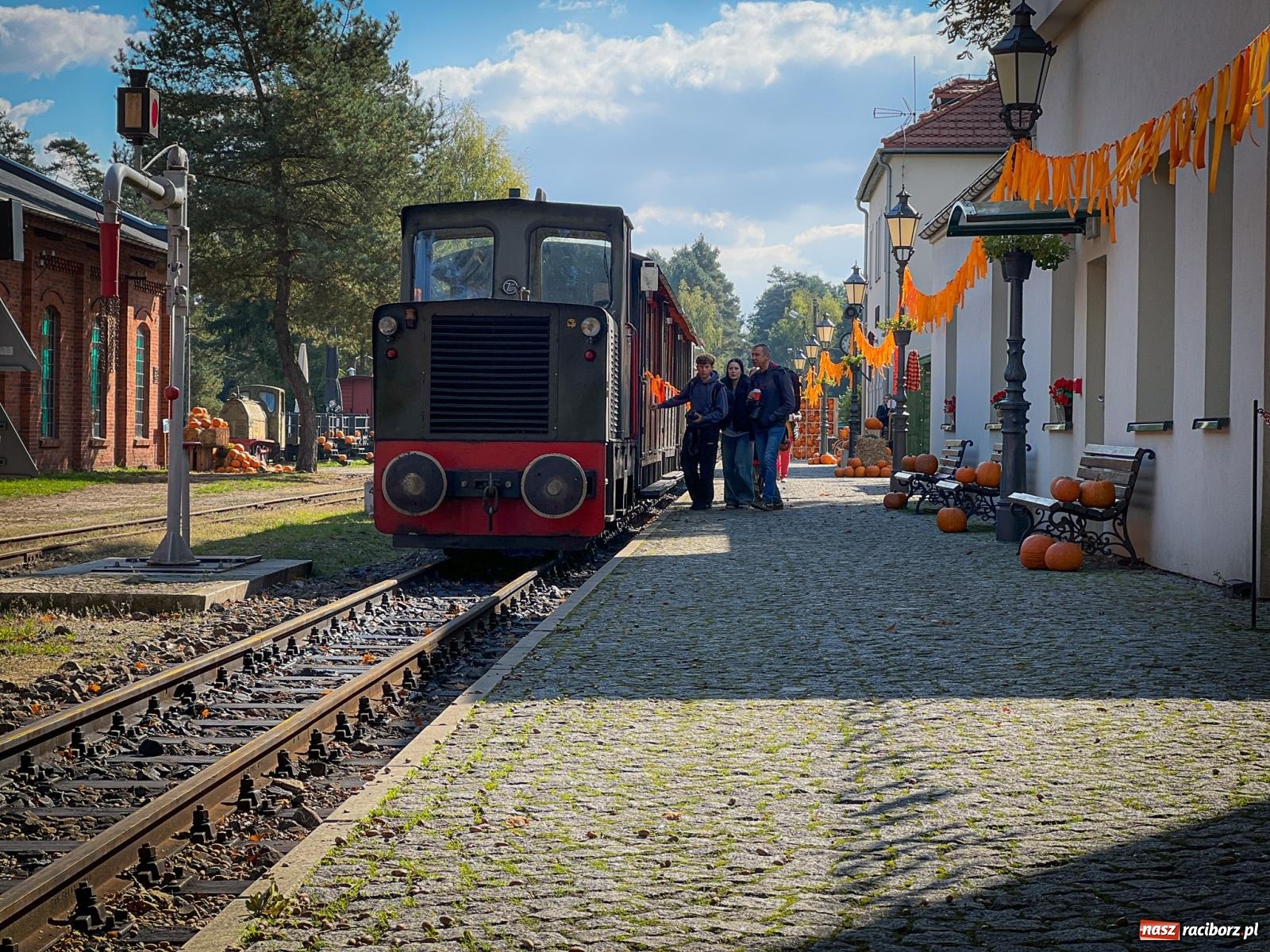 Zdjęcie w galerii na portalu naszraciborz.pl: Dyniowa Stacja Rudy – jesienna atrakcja dla całej rodziny wiadomości z regionu