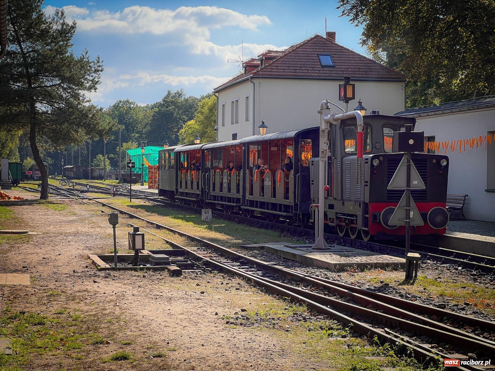 Zdjęcie w galerii na portalu naszraciborz.pl: Dyniowa Stacja Rudy – jesienna atrakcja dla całej rodziny wiadomości z regionu