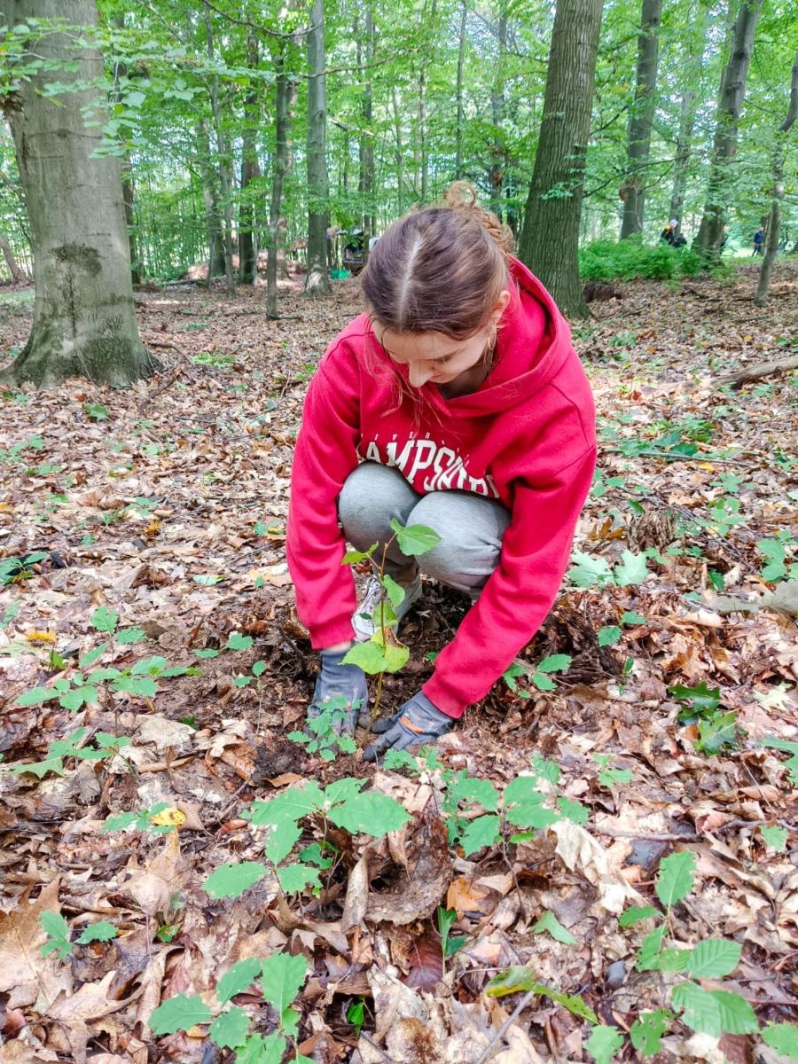 Zdjęcie w galerii na portalu naszraciborz.pl: 250 nowych drzew w Arboretum Bramy Morawskiej – wspólna akcja dla natury wiadomości z regionu